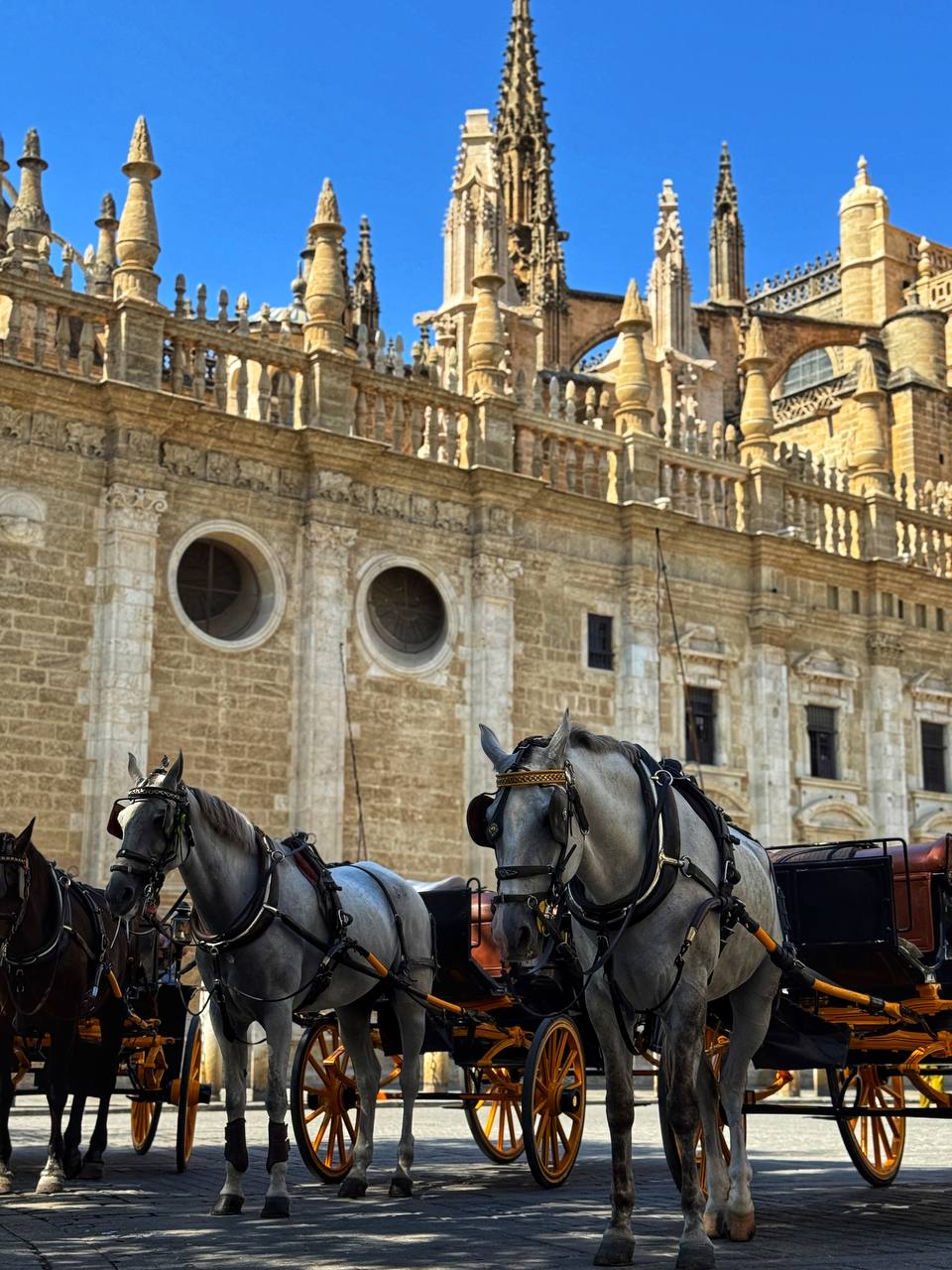 Южная Испания Vip: Два континента & полёт над Гибралтаром (31/128)