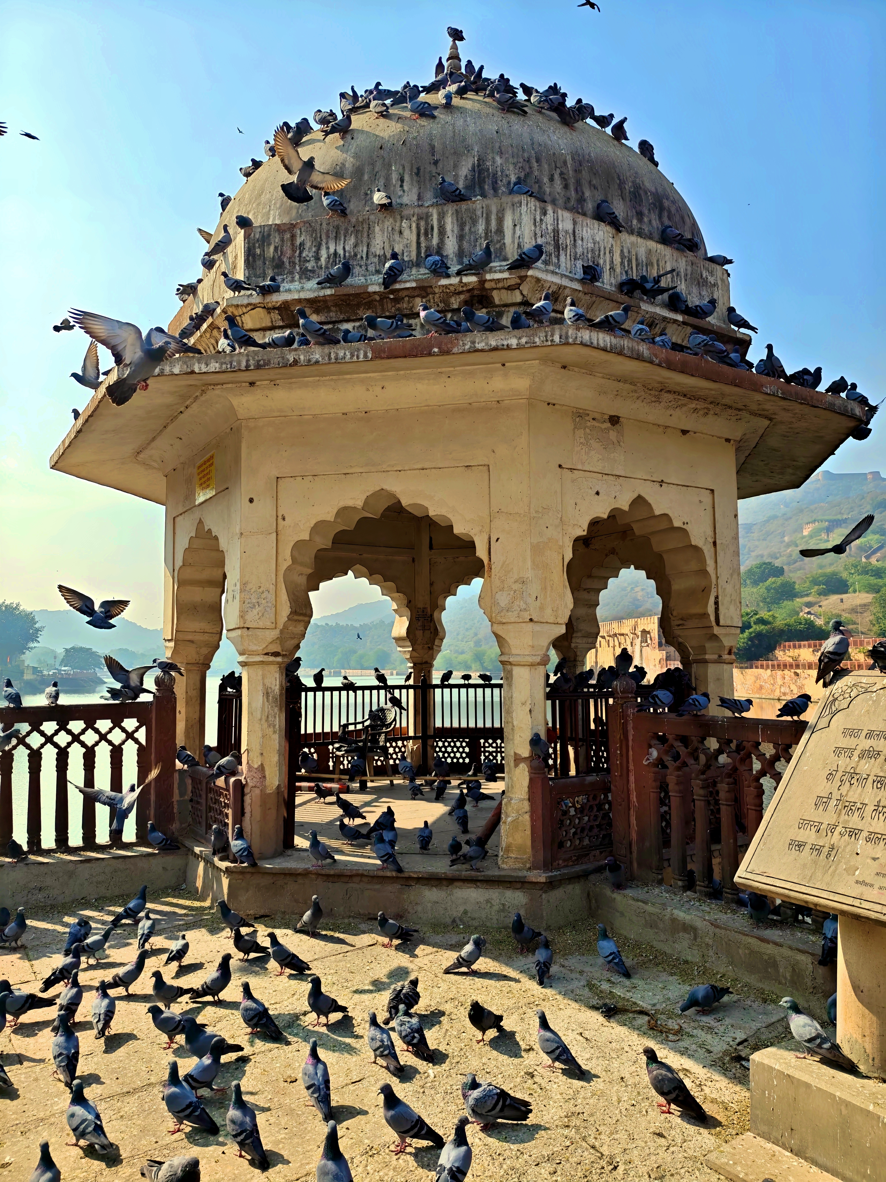 Джайпур. День 1. Галтаджи, храм обезьян