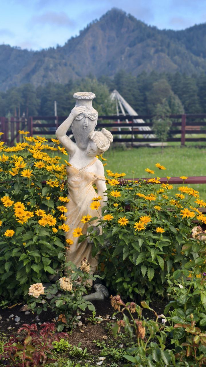 Ретрит на Алтае: от гор к внутренним вершинам (53/56)