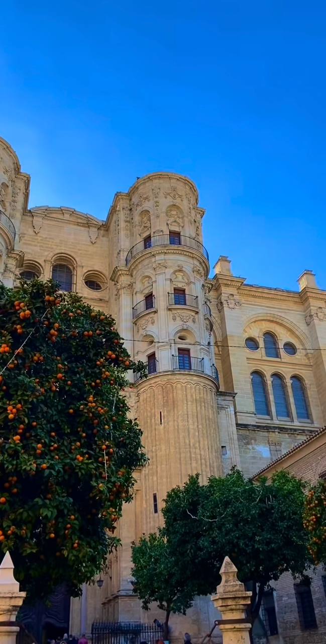 Южная Испания Vip: Два континента & полёт над Гибралтаром (83/128)