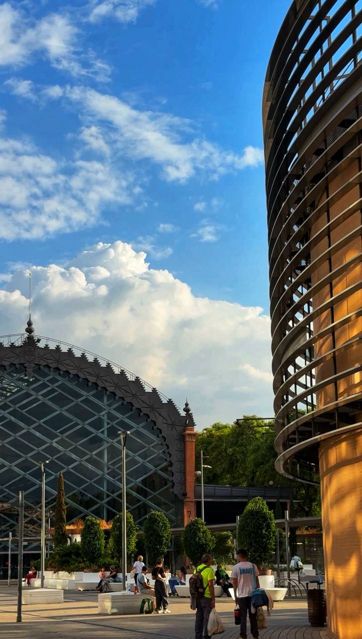 Южная Испания Vip: Два континента & полёт над Гибралтаром (7/128)