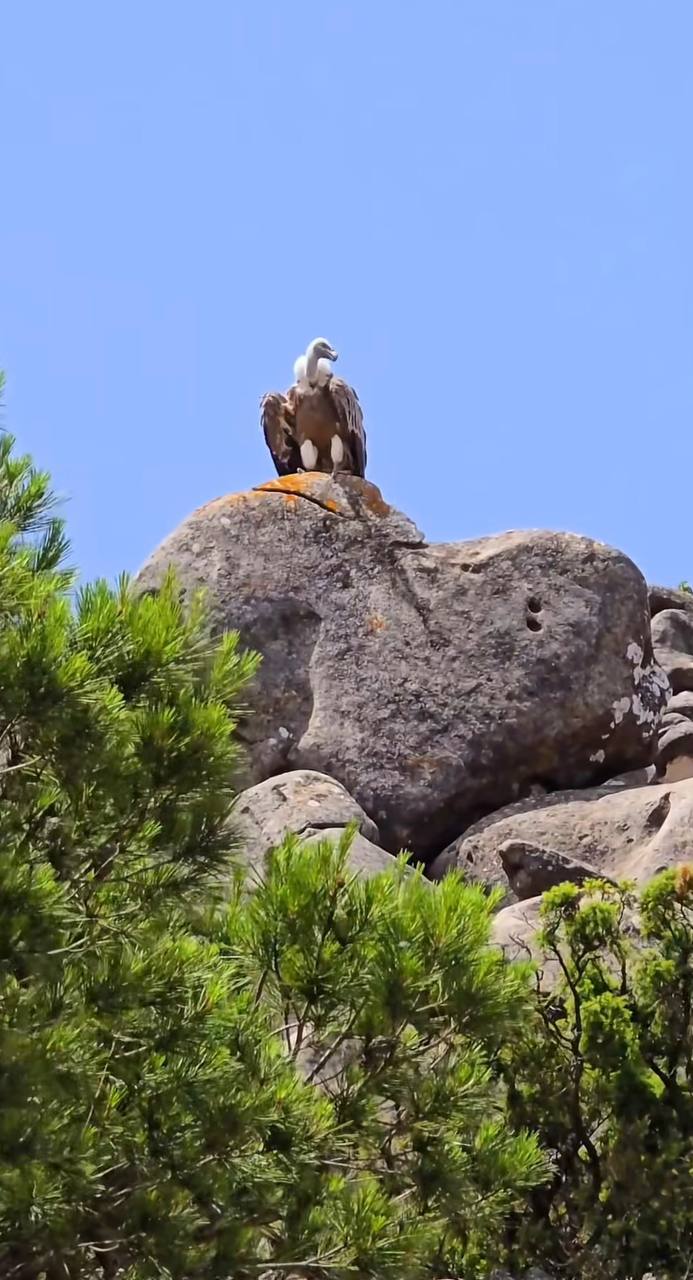 Южная Испания Vip: Два континента & полёт над Гибралтаром (72/128)