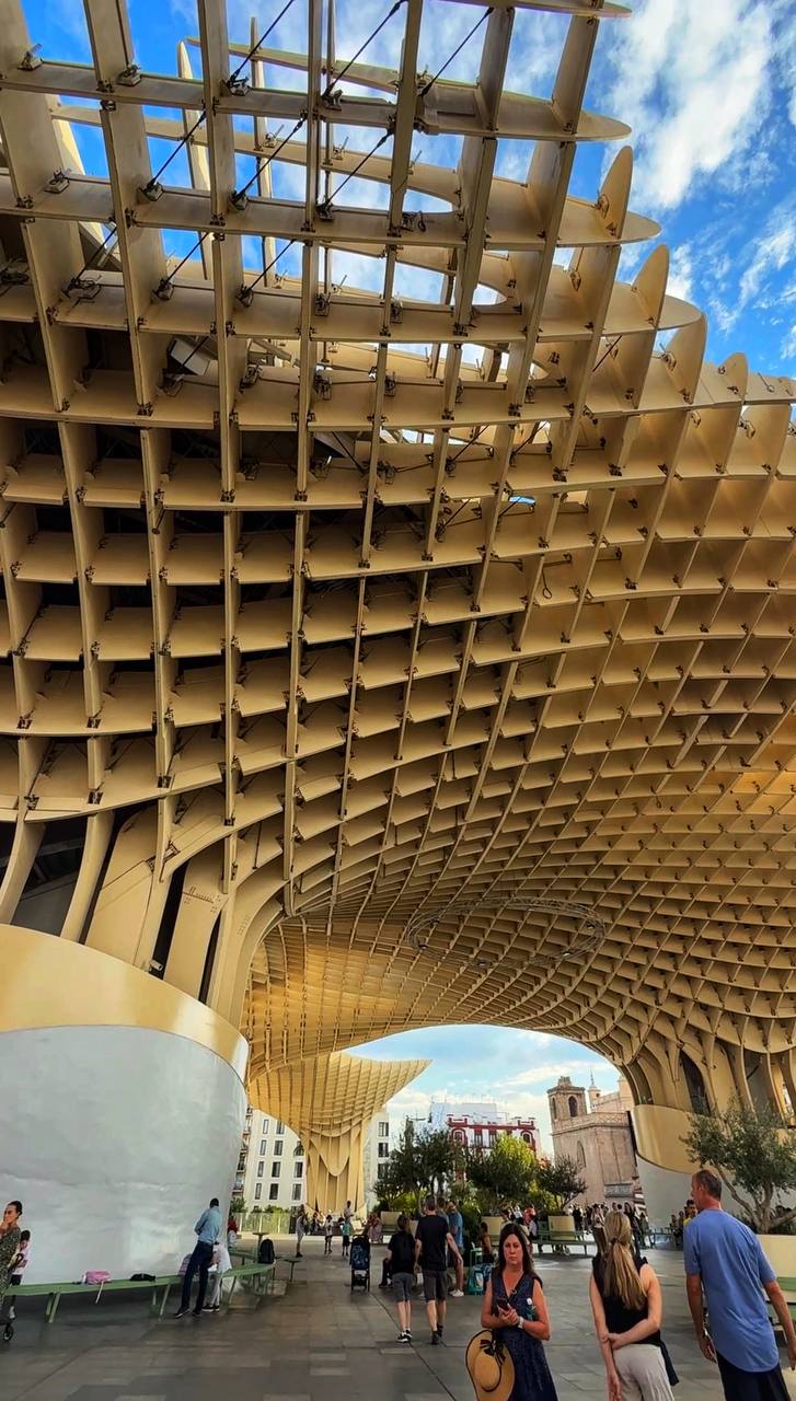 Южная Испания Vip: Два континента & полёт над Гибралтаром (9/128)