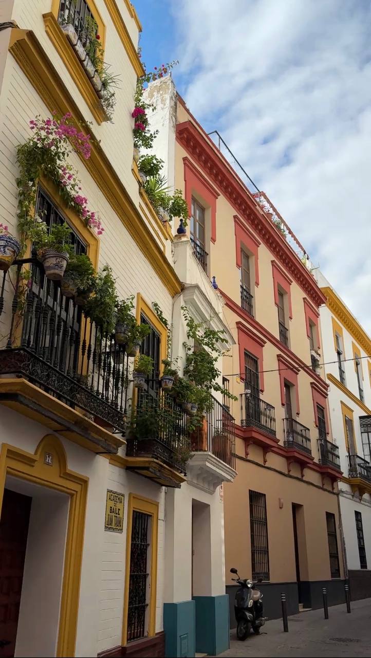 Южная Испания Vip: Два континента & полёт над Гибралтаром (11/128)