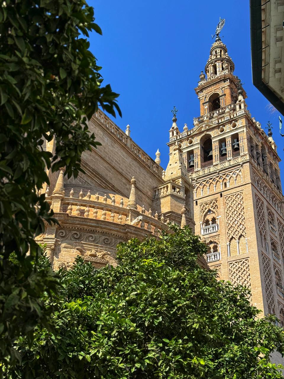 Южная Испания Vip: Два континента & полёт над Гибралтаром (30/128)