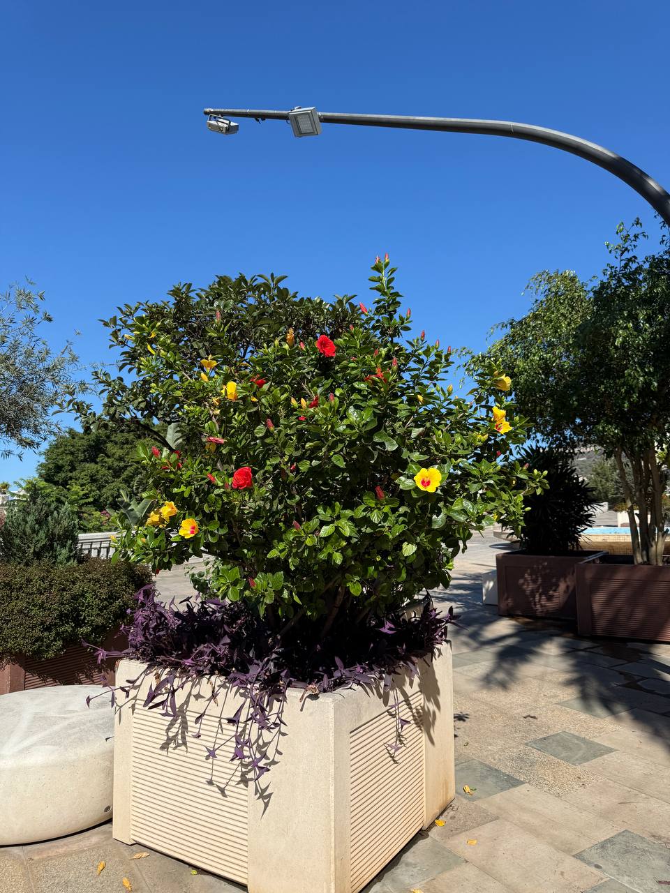 Южная Испания Vip: Два континента & полёт над Гибралтаром (53/128)