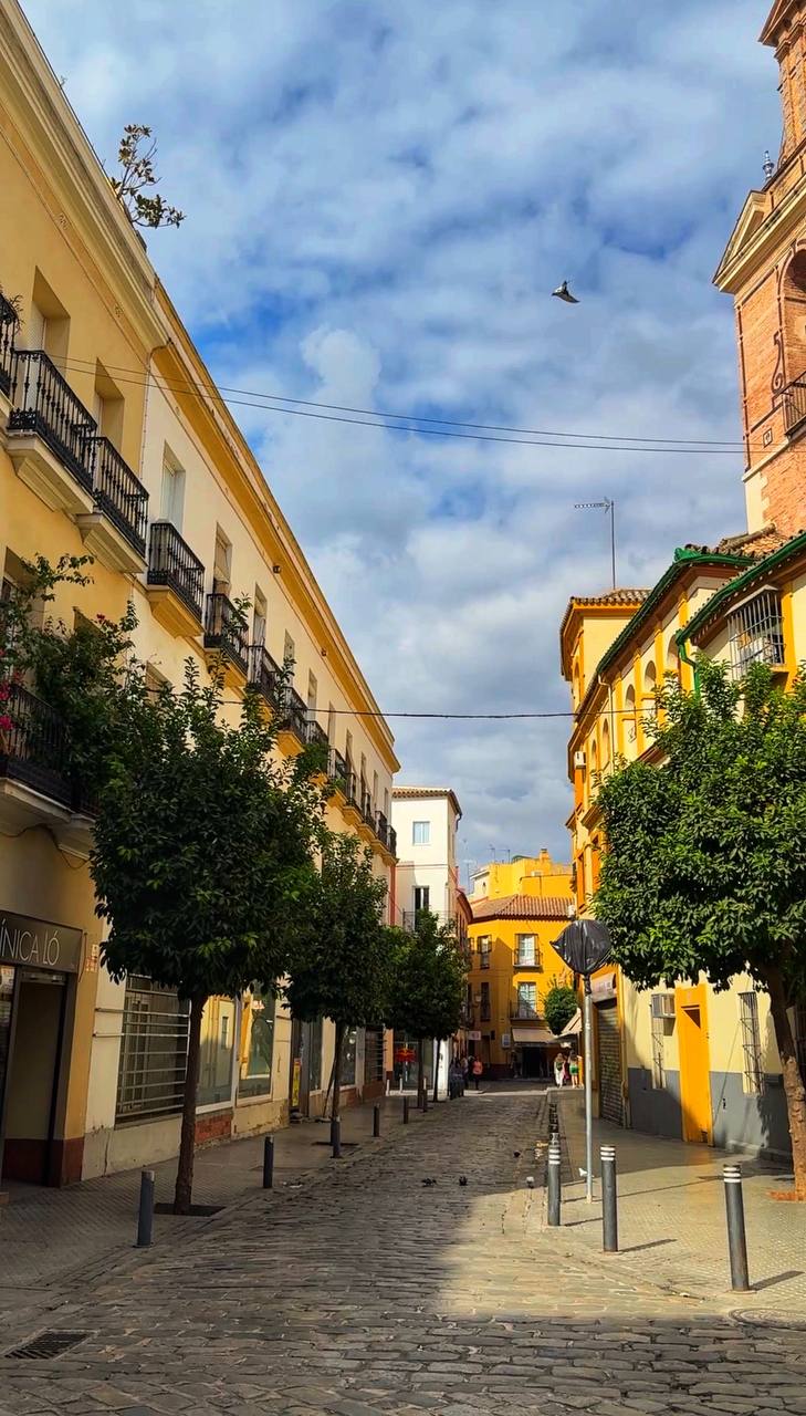 Южная Испания Vip: Два континента & полёт над Гибралтаром (10/128)