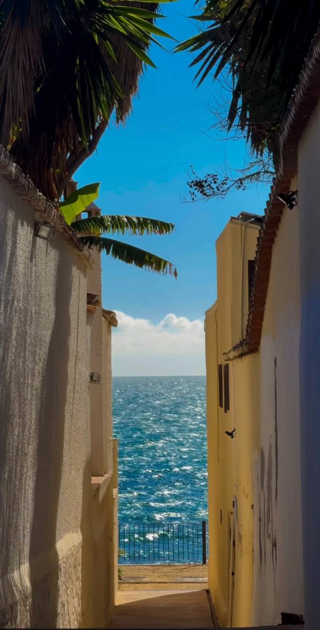 Южная Испания Vip: Два континента & полёт над Гибралтаром (85/128)