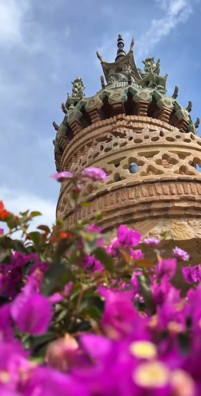 Южная Испания Vip: Два континента & полёт над Гибралтаром (88/128)