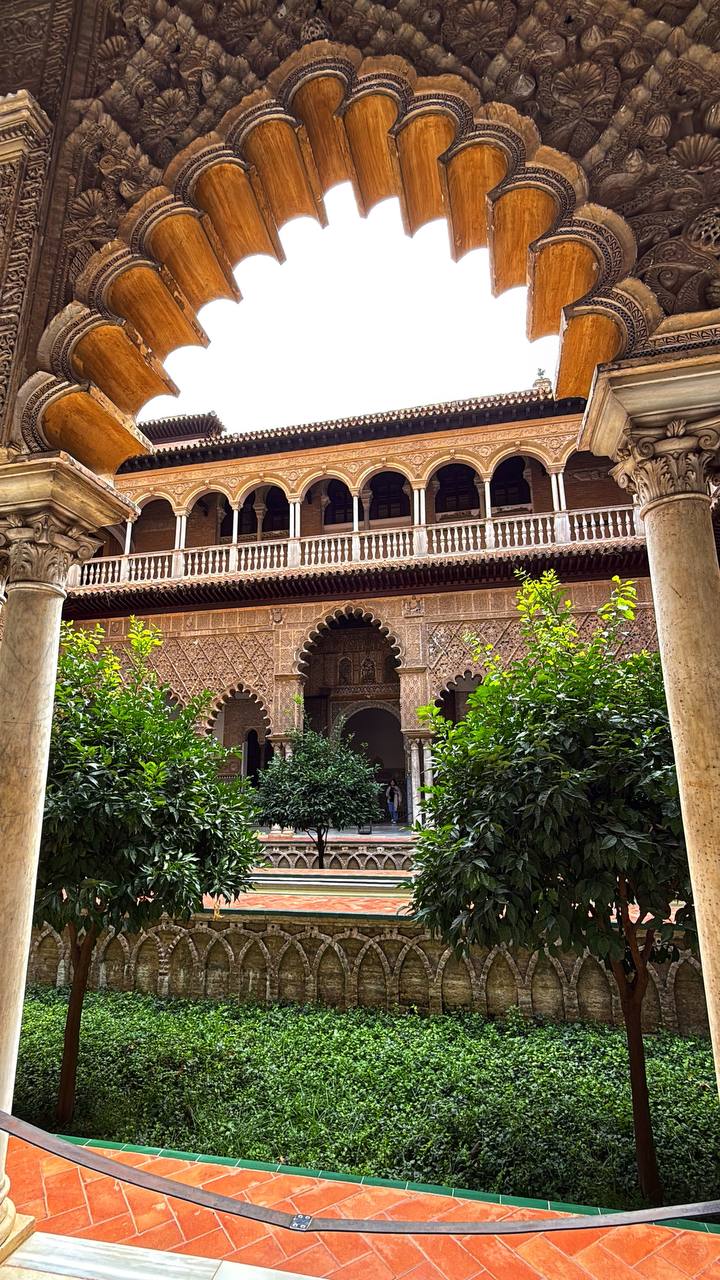 Южная Испания Vip: Два континента & полёт над Гибралтаром (39/128)