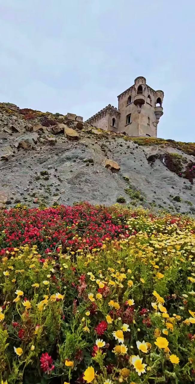 Южная Испания Vip: Два континента & полёт над Гибралтаром (74/128)