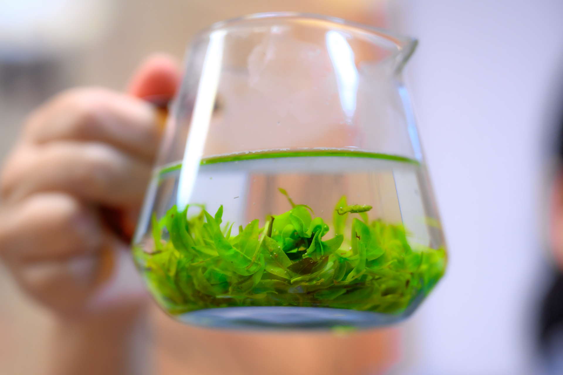 Великая Китайская стена