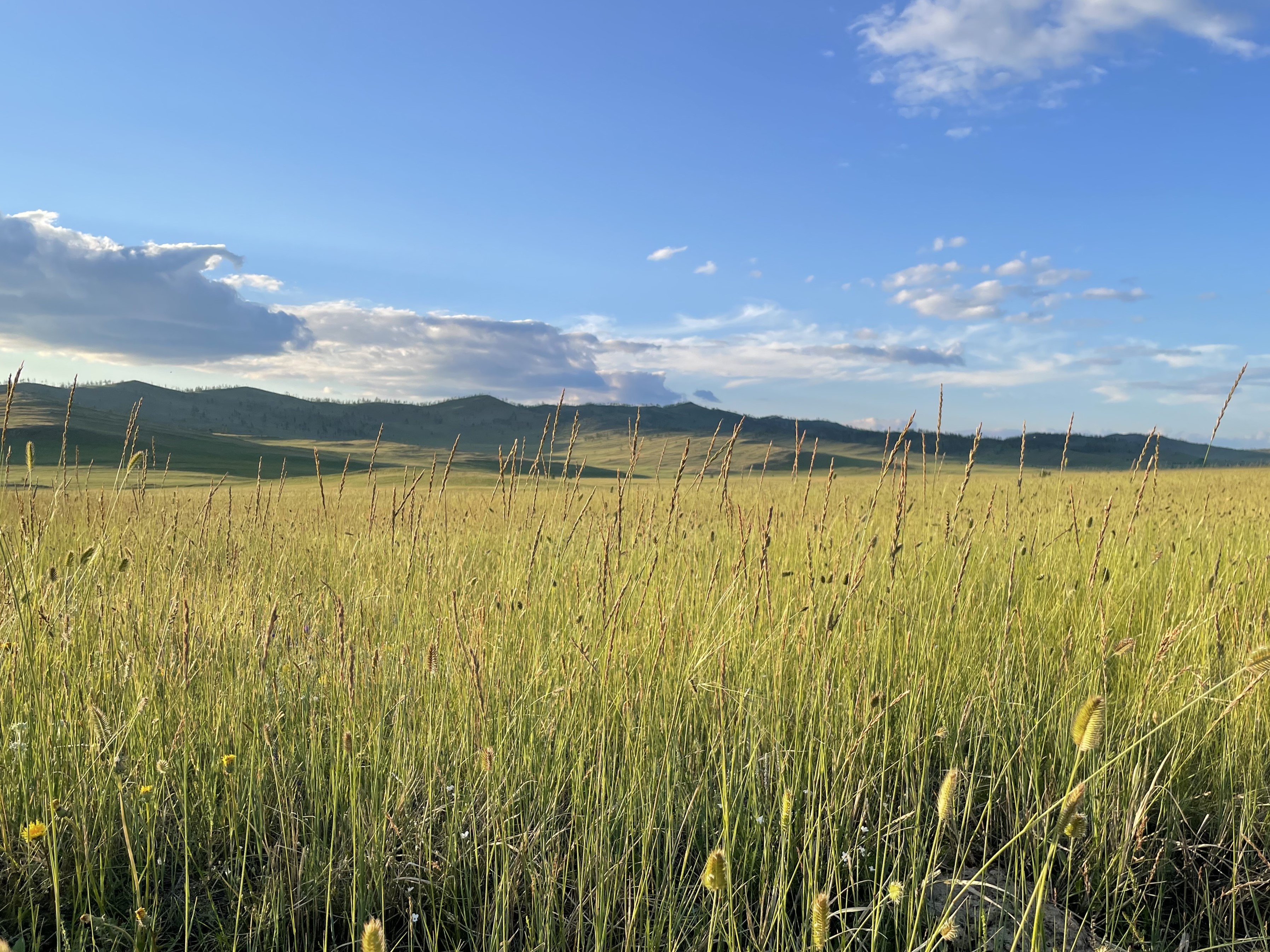 Байкальские мелодии, легенды и тайны: Иркутск, Листвянка, Байкал, Тажераны и Ольхон (47/61)