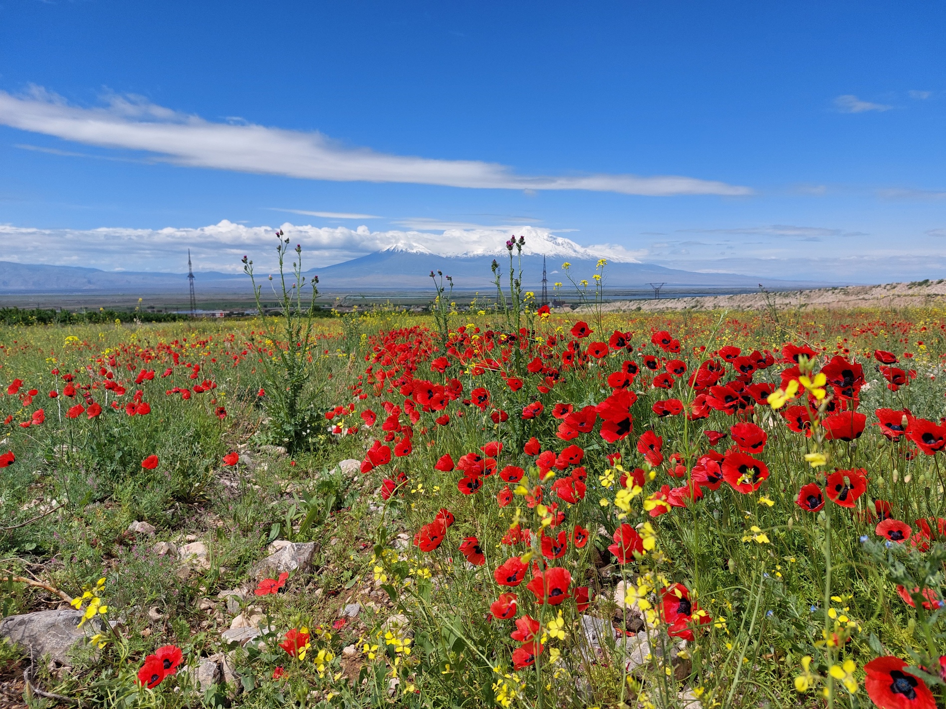 В Армению весной! Все красоты за 6 дней!