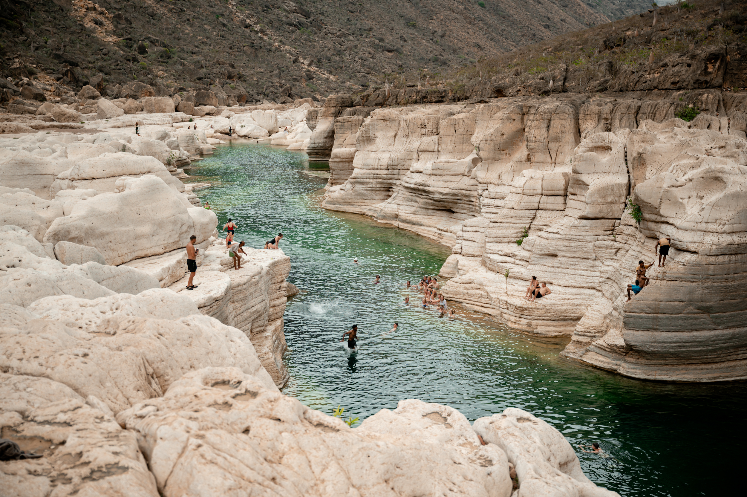 Авторский тур на остров Сокотра с предпринимателями (9/42)