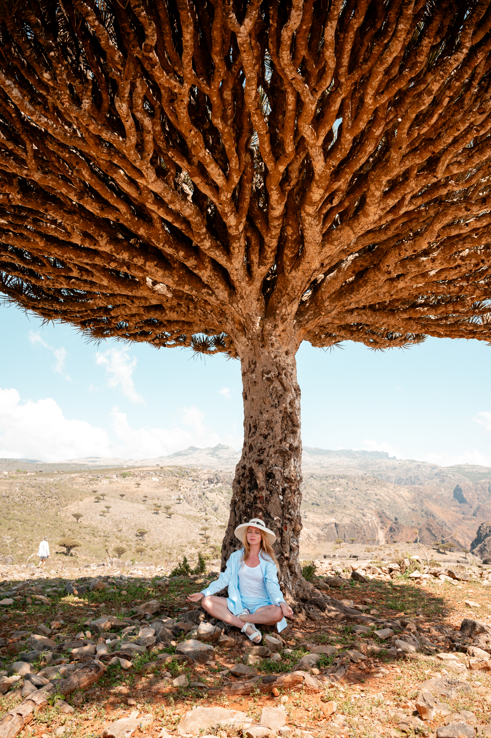 Авторский тур на остров Сокотра с предпринимателями (3/42)