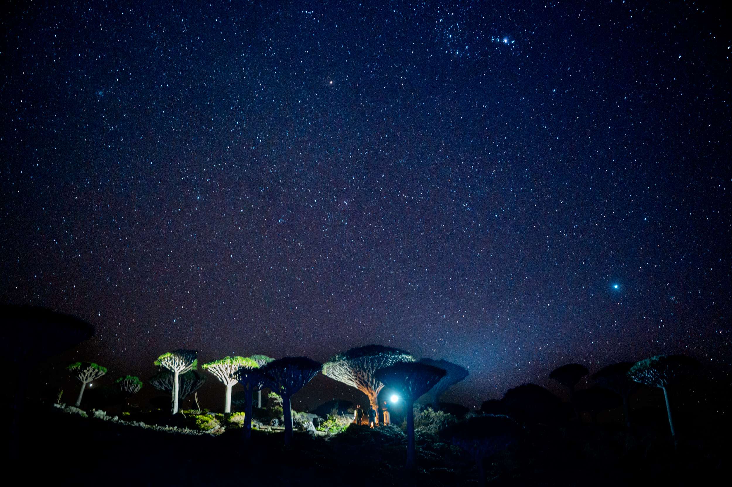 Авторский тур на остров Сокотра с предпринимателями (14/42)