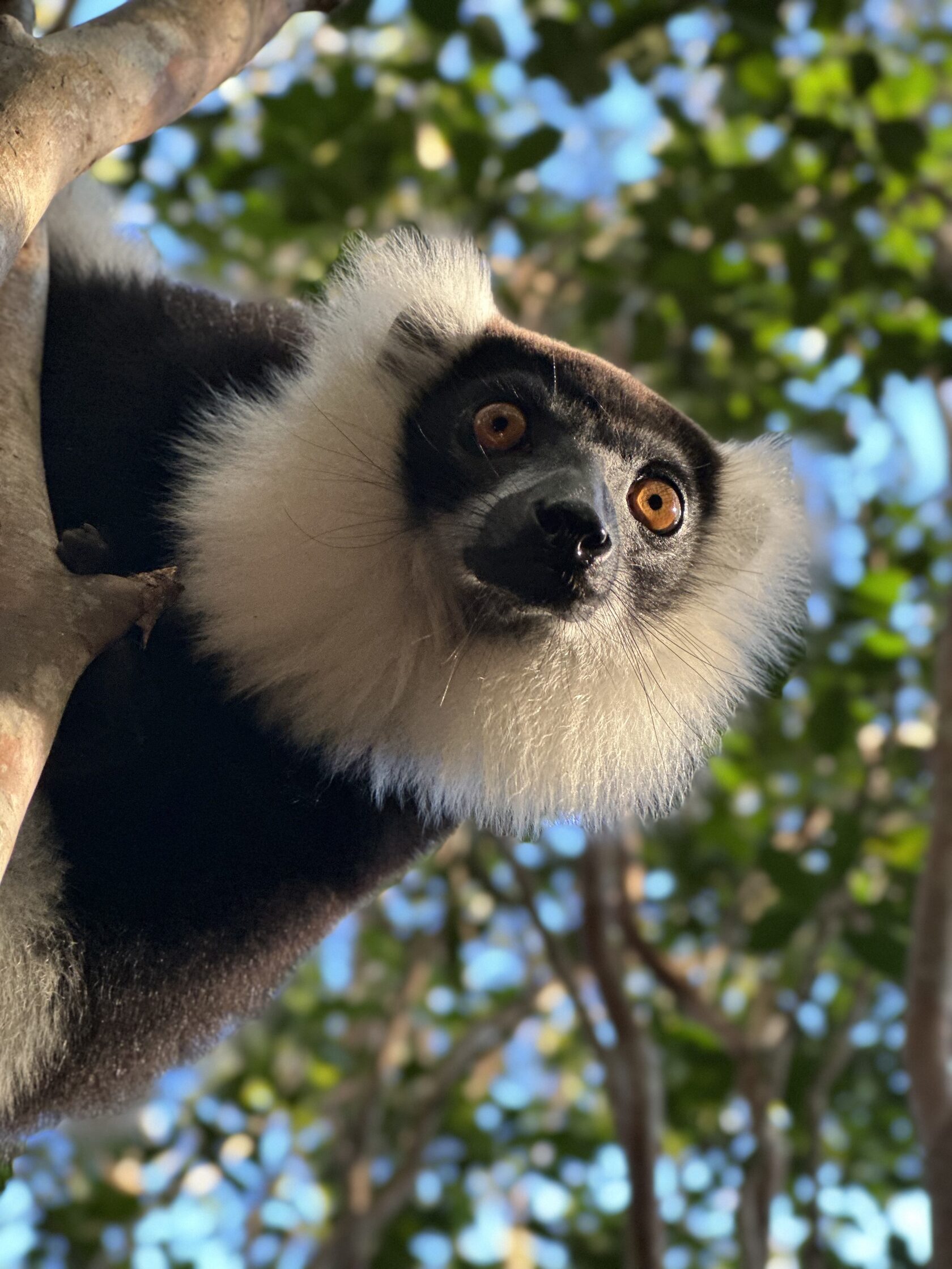 Мадагаскар: экспедиция с фотографом