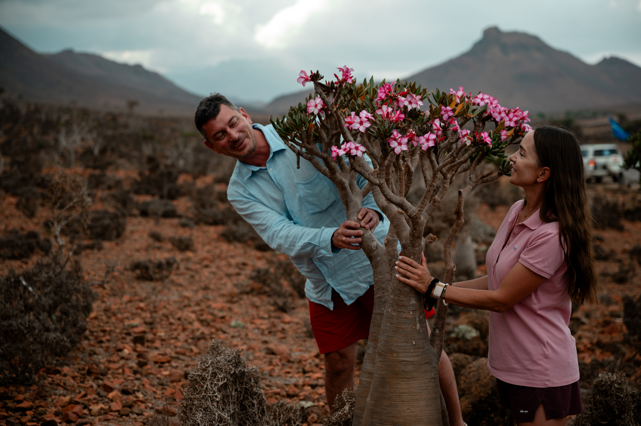 Авторский тур на остров Сокотра с предпринимателями (23/42)