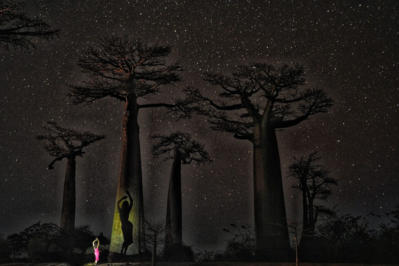 Мадагаскар: лемуры, киты, пиратский остров, Аллея баобабов, Фамадихана, Большие Цинги (9/17)