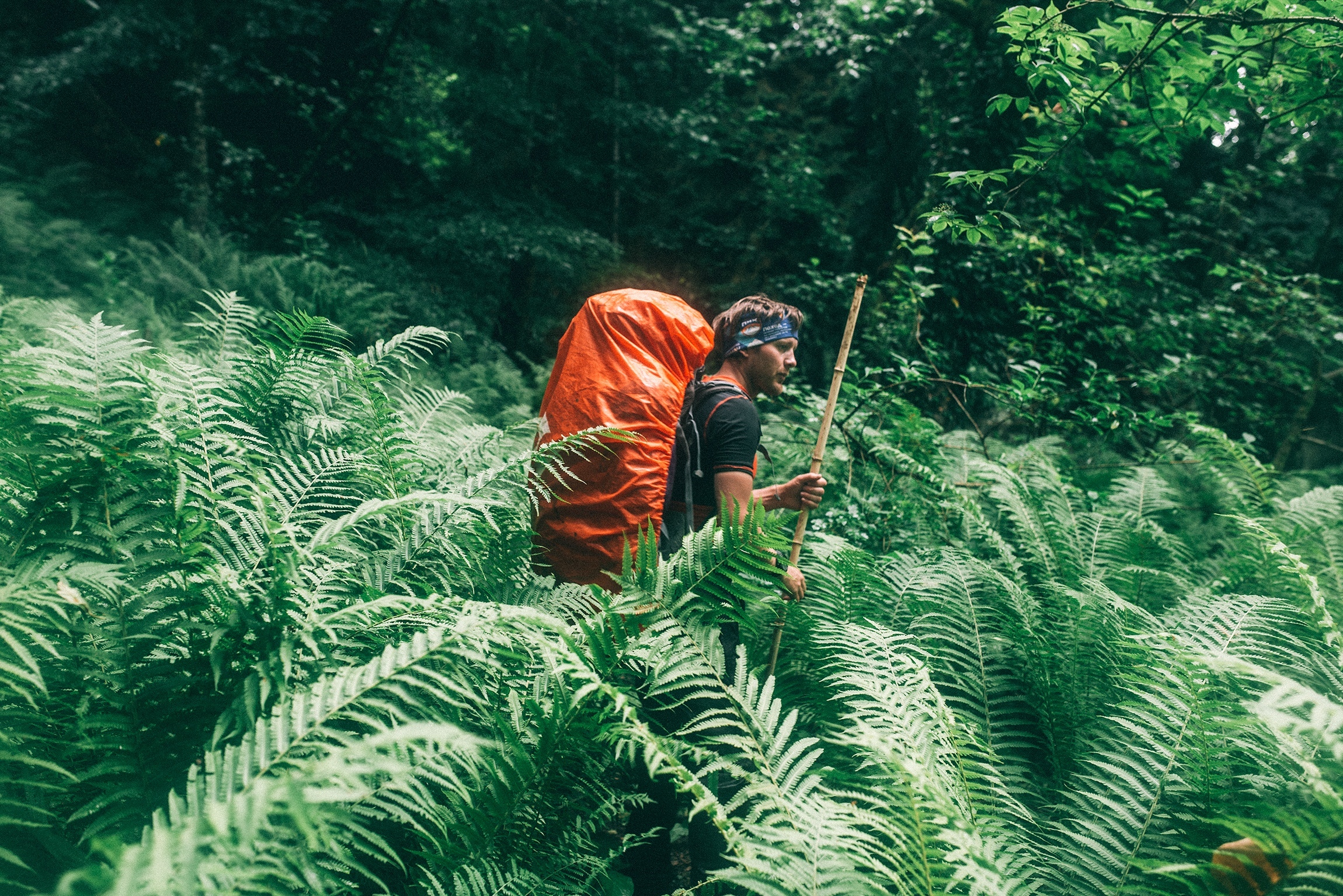 Джунгли, перевалы и горные вершины Арабики. Поход по нетуристической части Абхазии (8/45)