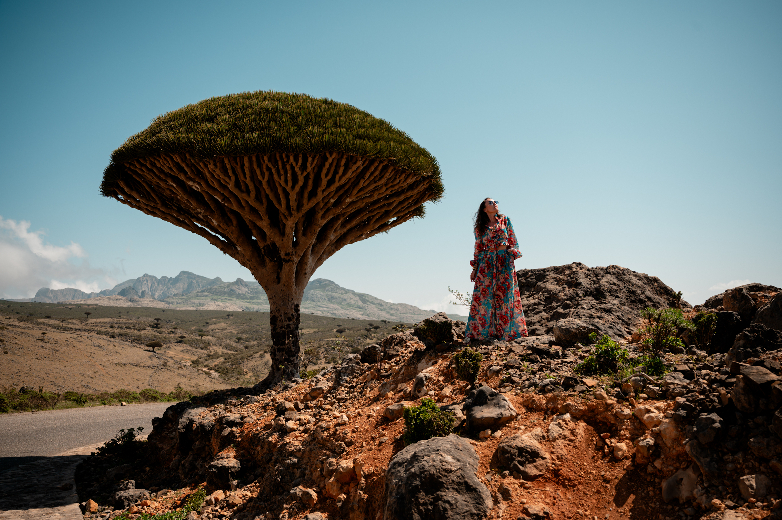 Авторский тур на остров Сокотра с предпринимателями (16/42)