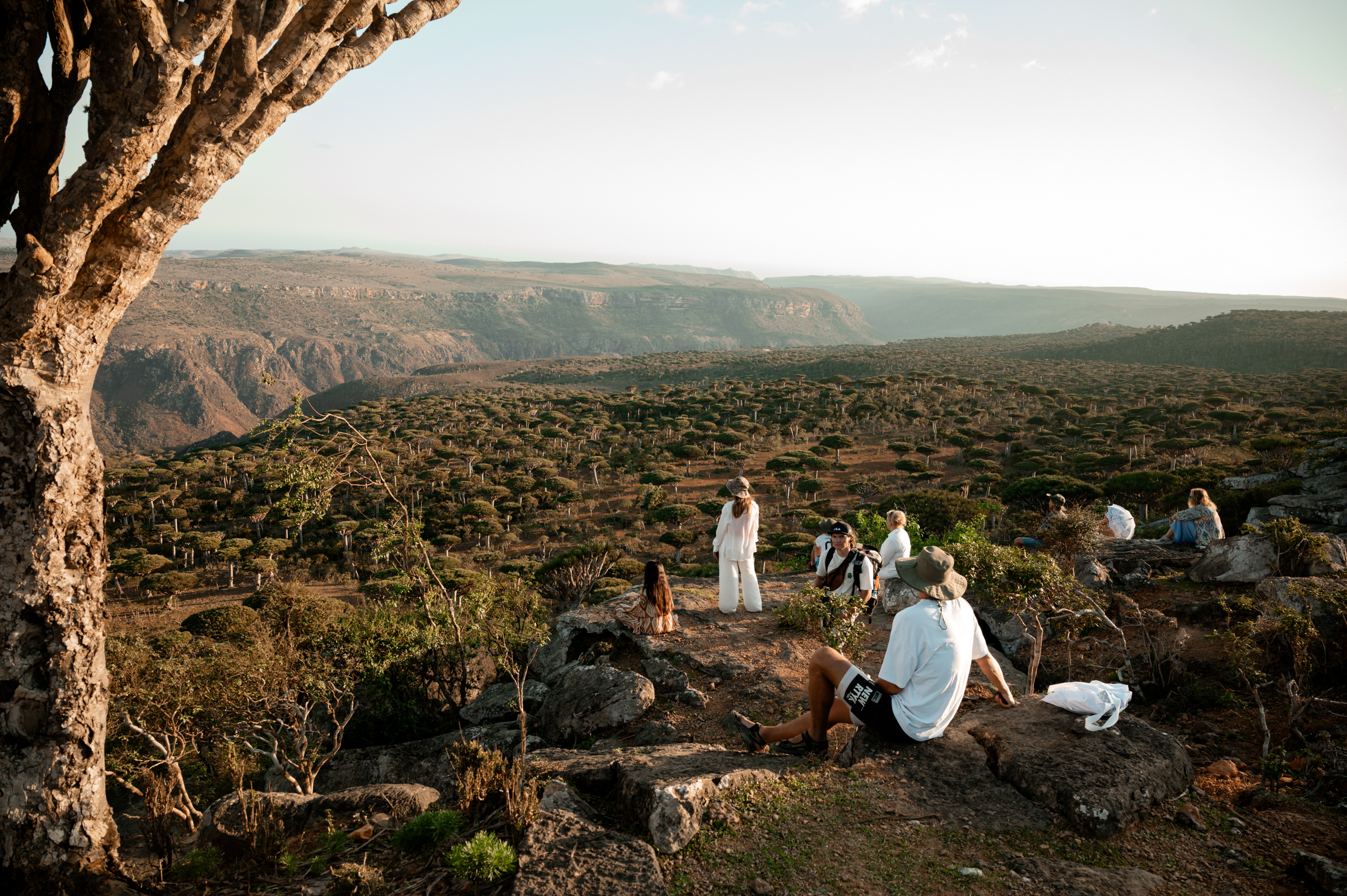 Авторский тур на остров Сокотра с предпринимателями (12/42)