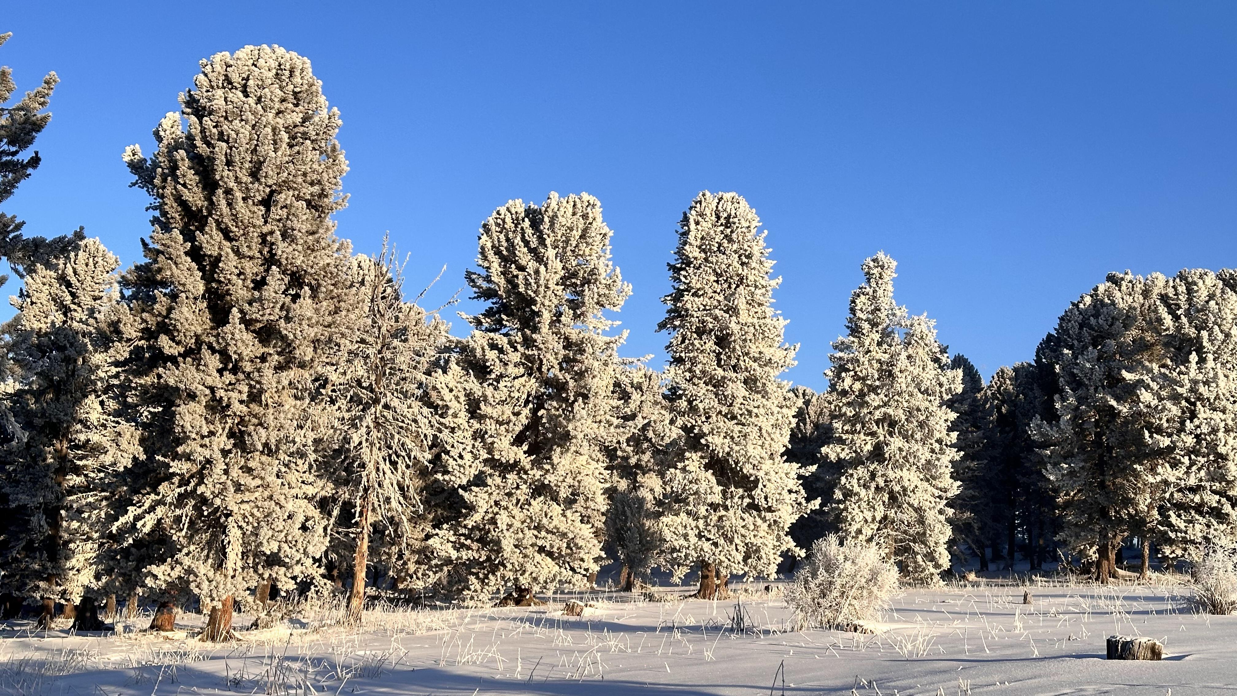 Обзорный тур Знакомство с Алтаем + Марсианские горы (15/31)