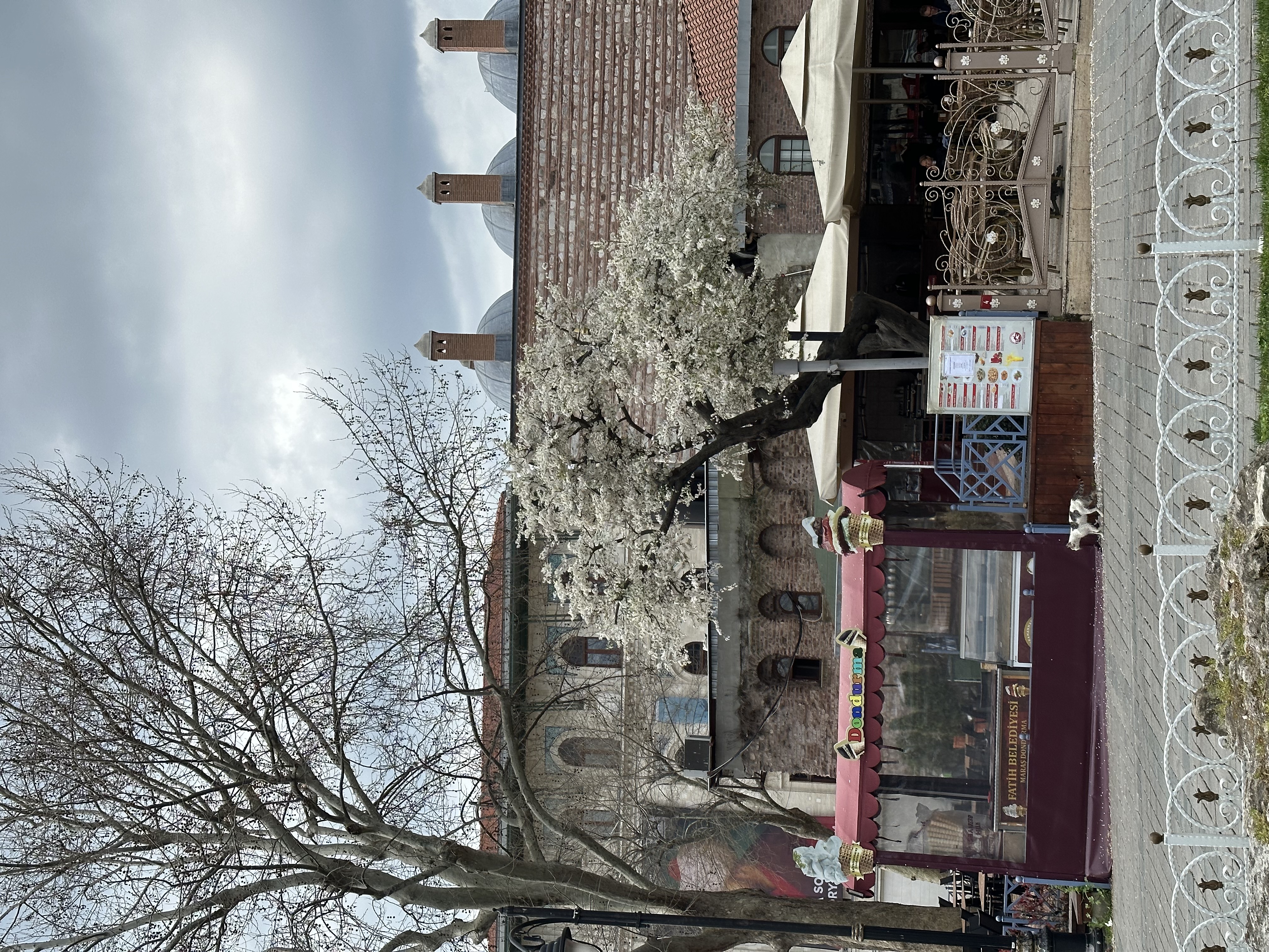 Гастрономический тур по секретным местам Стамбула (36/51)