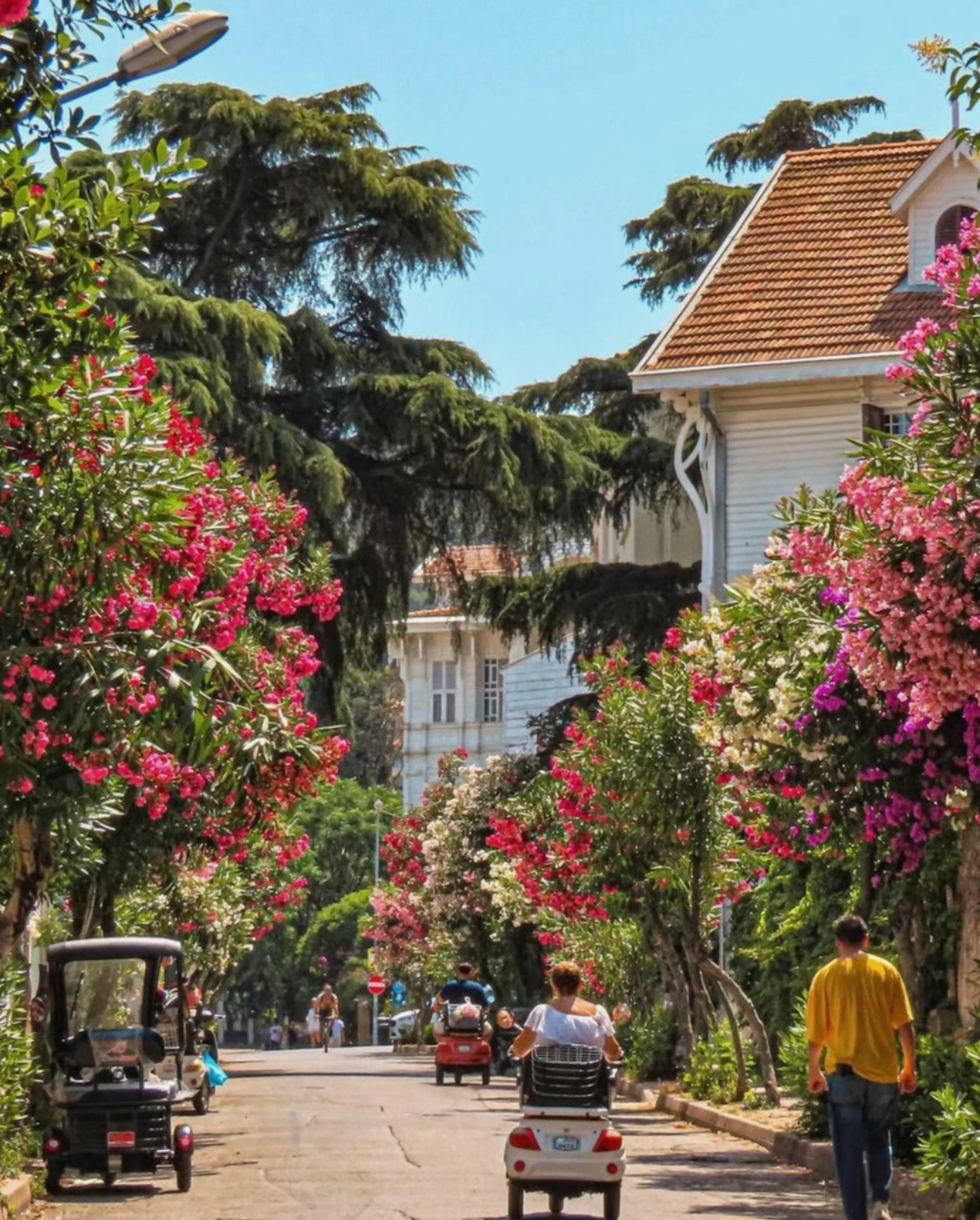 Из Стамбула — на живописные Принцевы острова! (10/11)