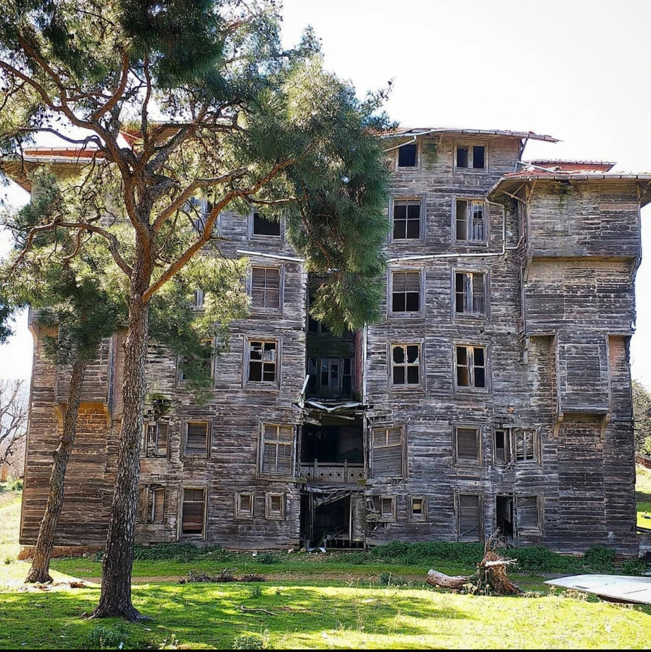 Из Стамбула — на живописные Принцевы острова! (8/11)