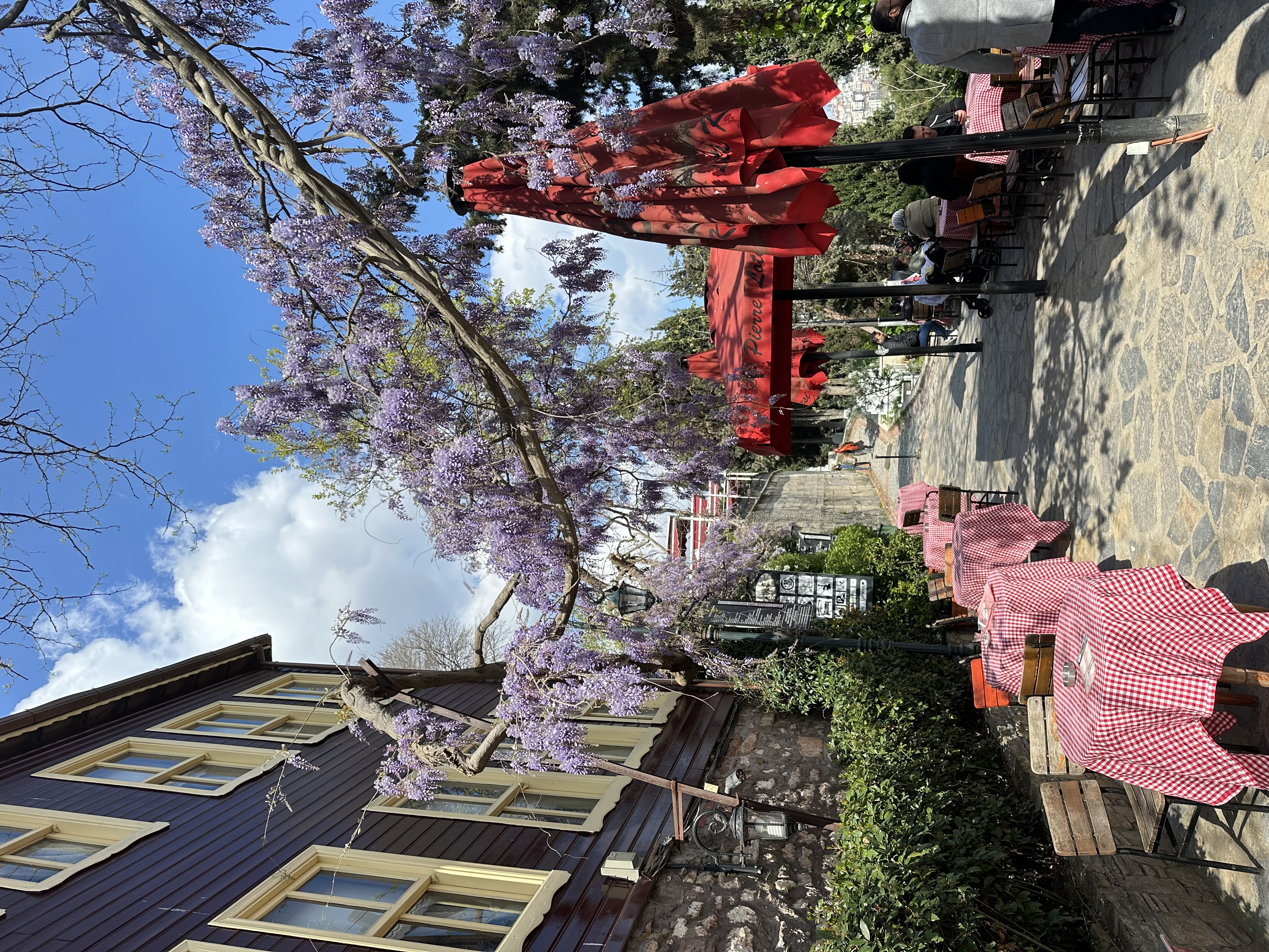 Гастрономический тур по секретным местам Стамбула (6/51)