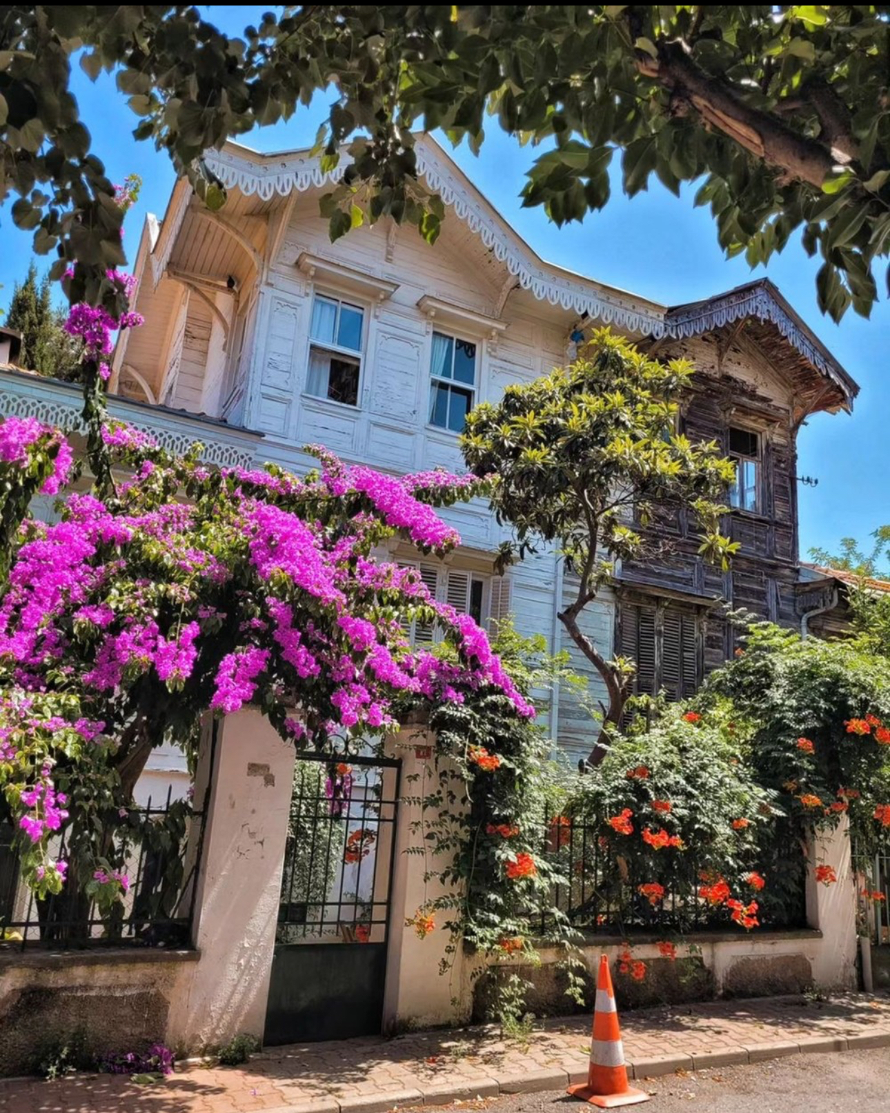 Из Стамбула — на живописные Принцевы острова! (2/11)