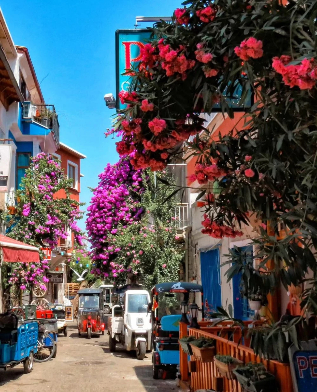 Из Стамбула — на живописные Принцевы острова! (1/11)