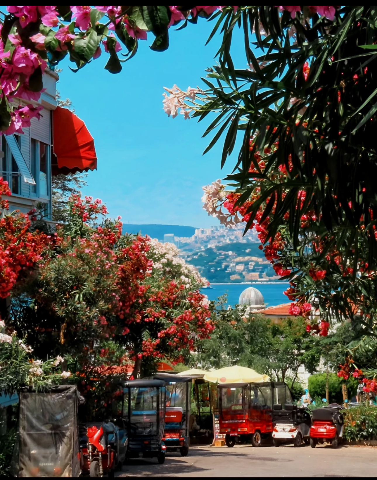 Из Стамбула — на живописные Принцевы острова! (3/11)