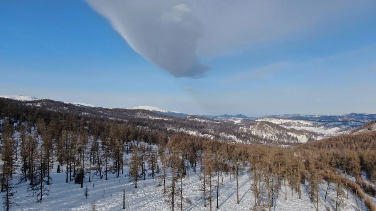 Таёжное царство Алтая (8/19)