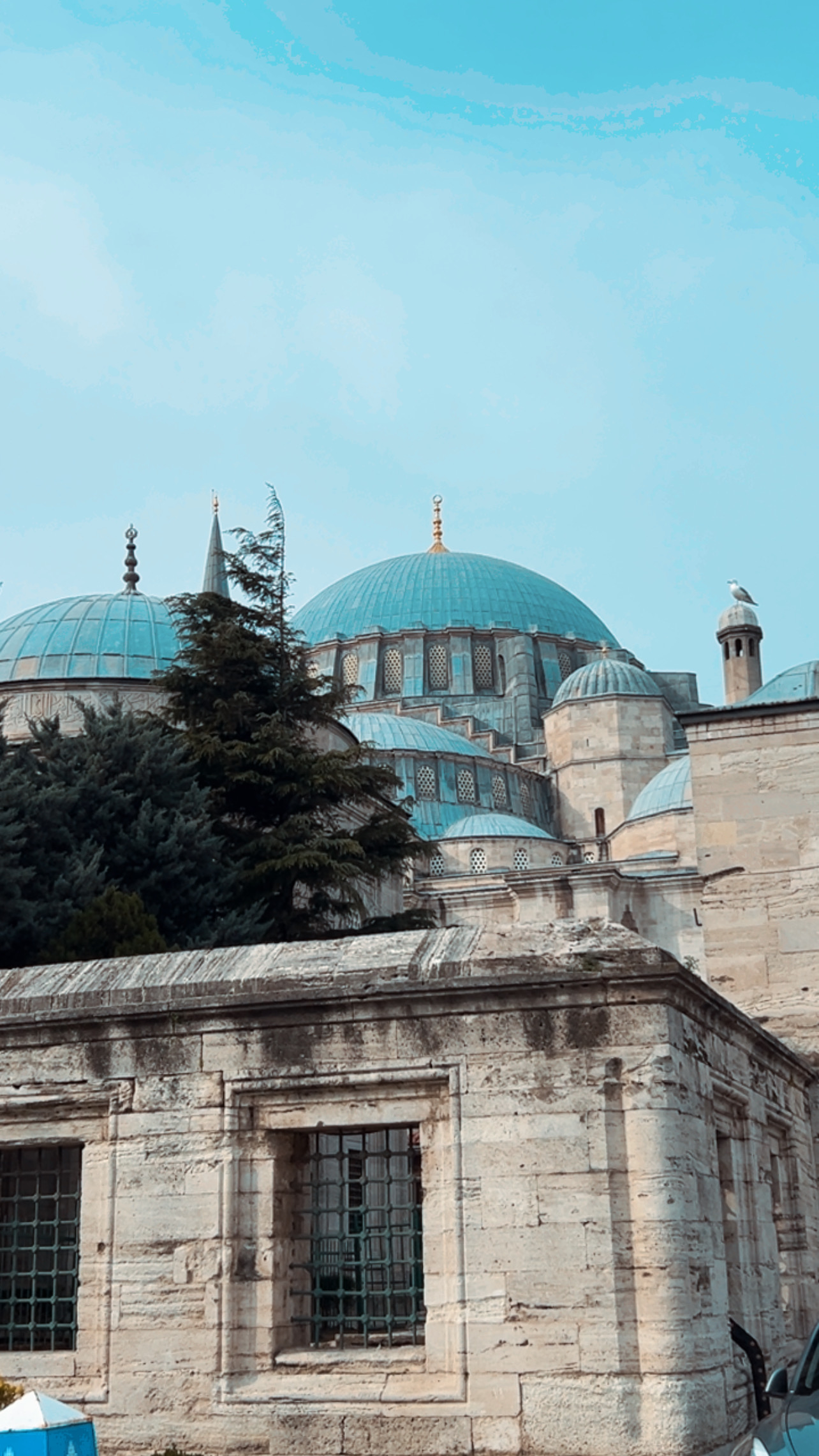 Фото - Девичник в Стамбуле (108/156)