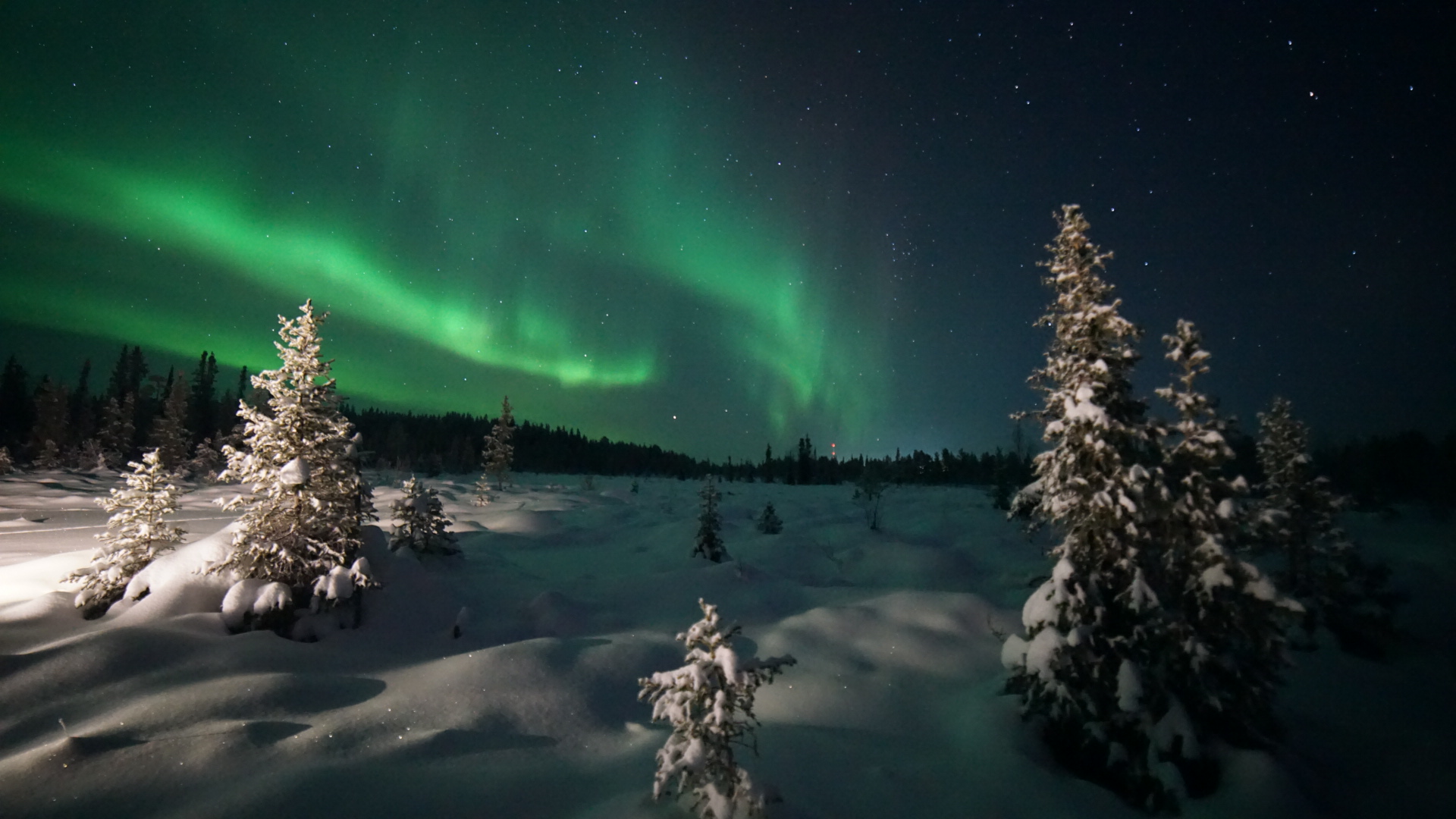 Поездка к хаски, оленям, перевоплощение в саами