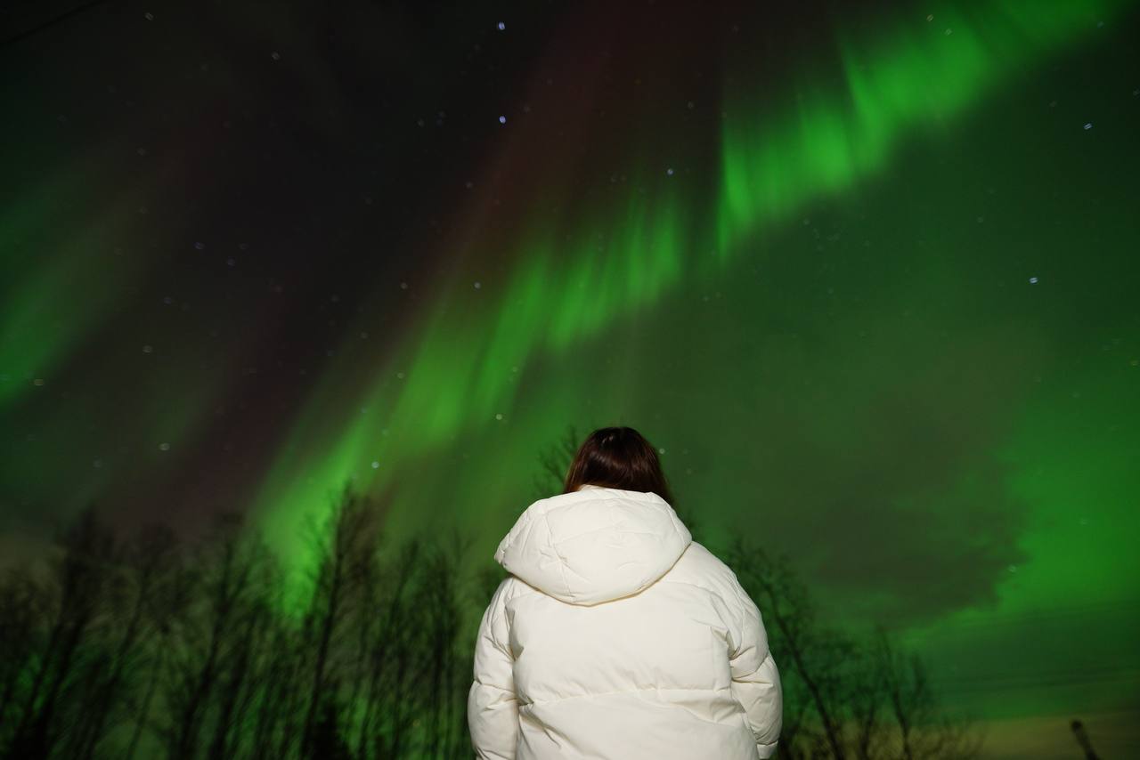 Максимум на зимнем Кольском: северное сияние, флоатинг, киты и олени! (5/17)