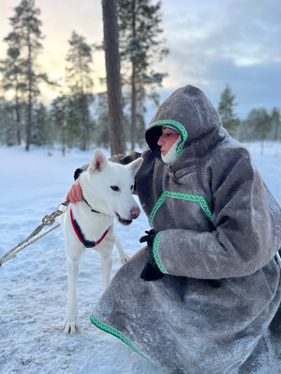 Поездка к хаски, оленям, перевоплощение в саами