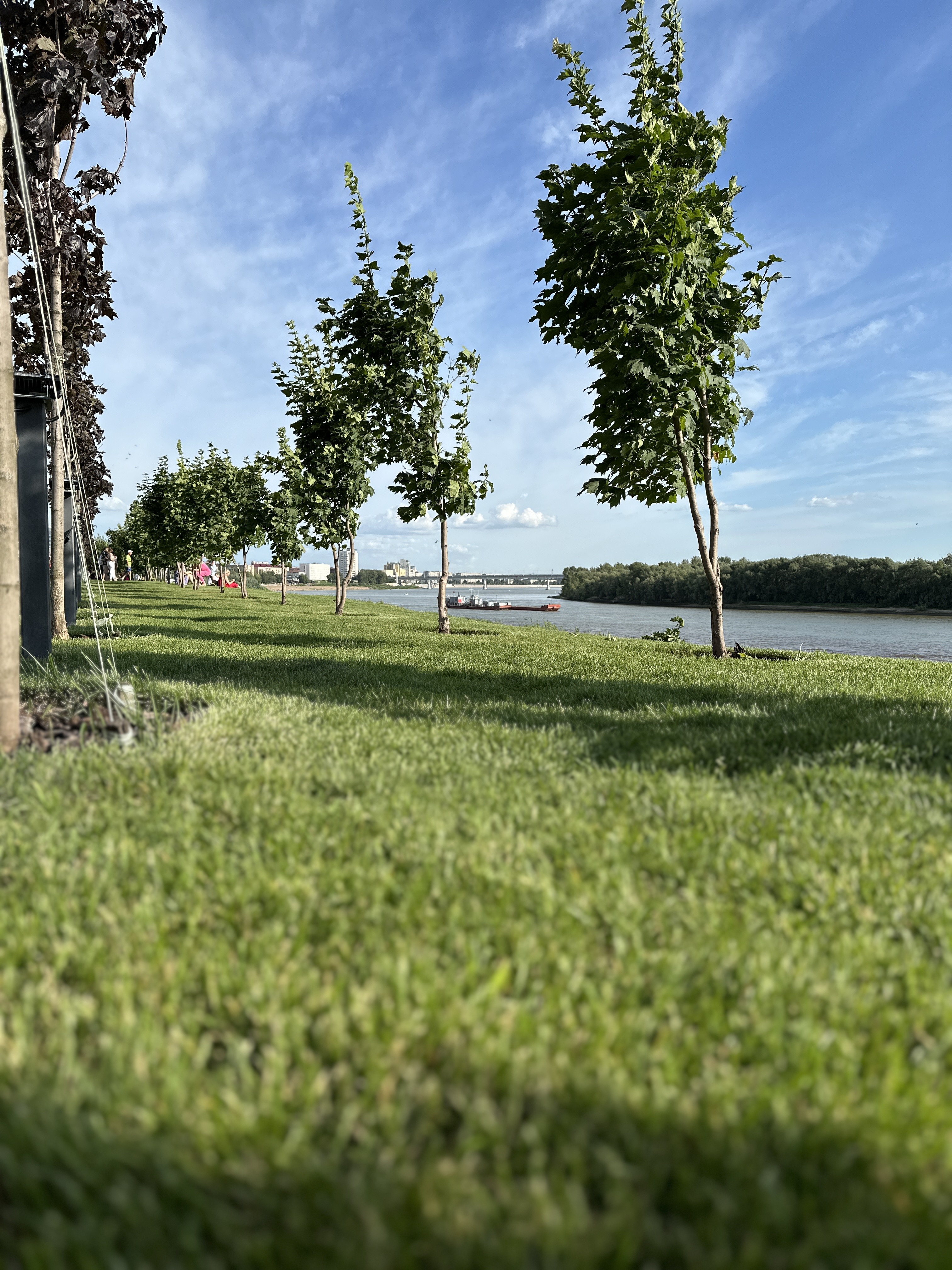 Сибирские сокровища: Загадка золота Колчака (3/24)