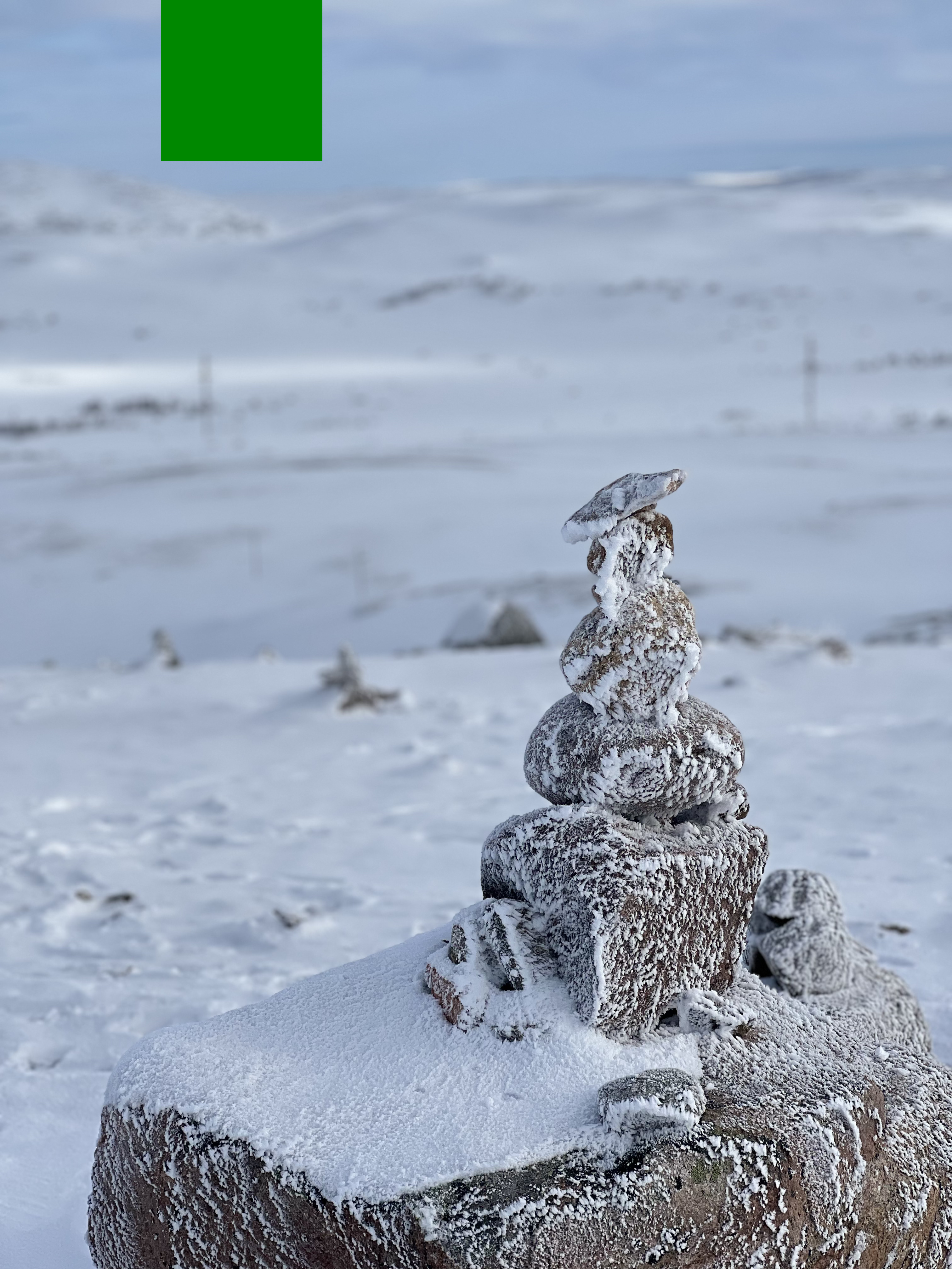 Максимум на зимнем Кольском: северное сияние, флоатинг, киты и олени! (8/17)