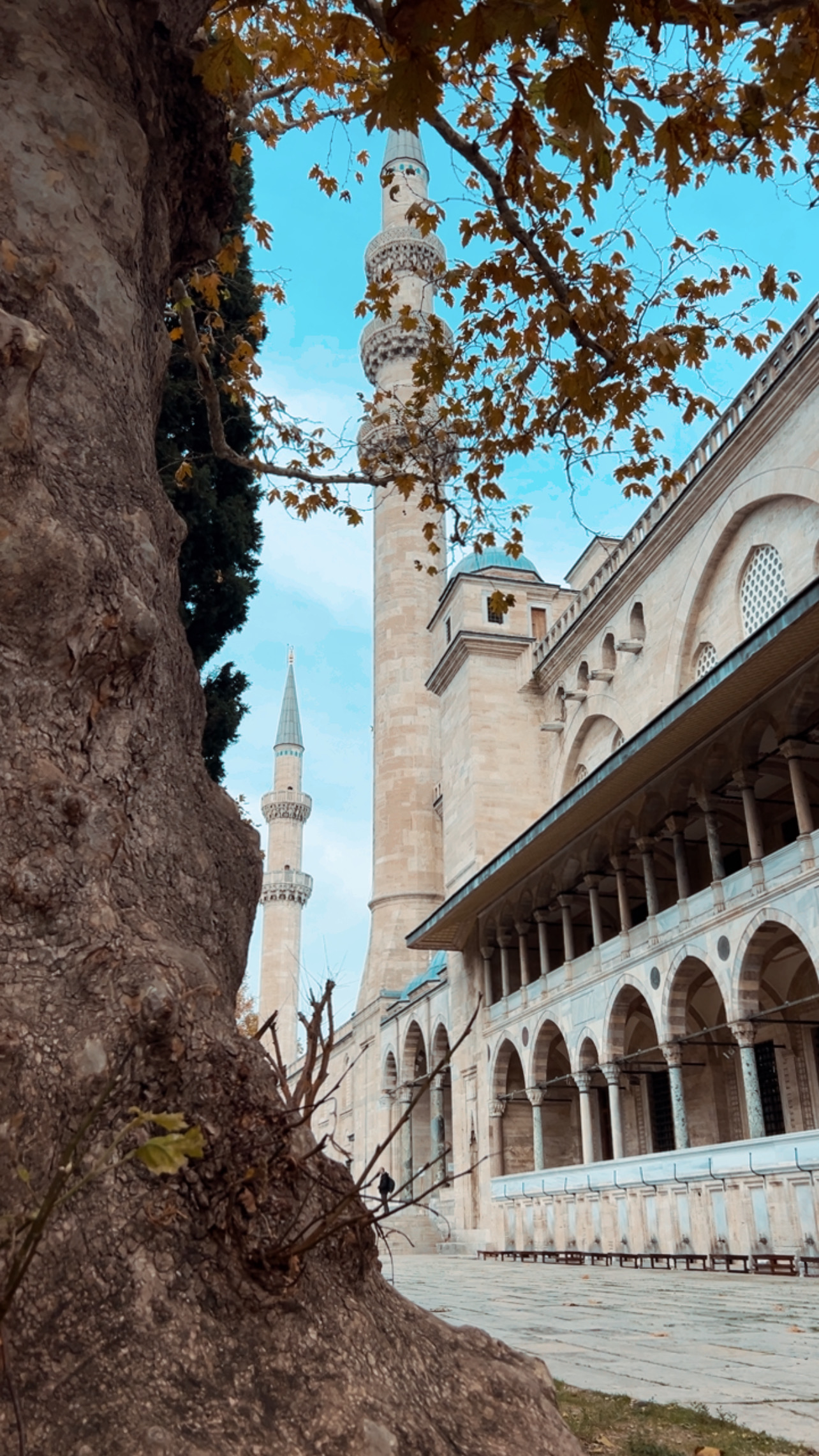 Фото - Девичник в Стамбуле (115/156)