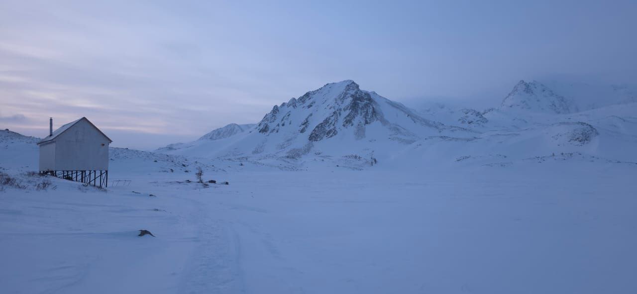 Таёжное царство Алтая (11/19)