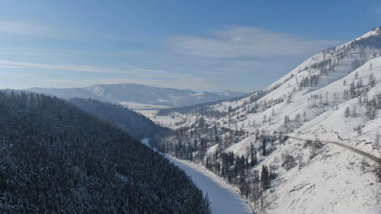 Таёжное царство Алтая (14/19)