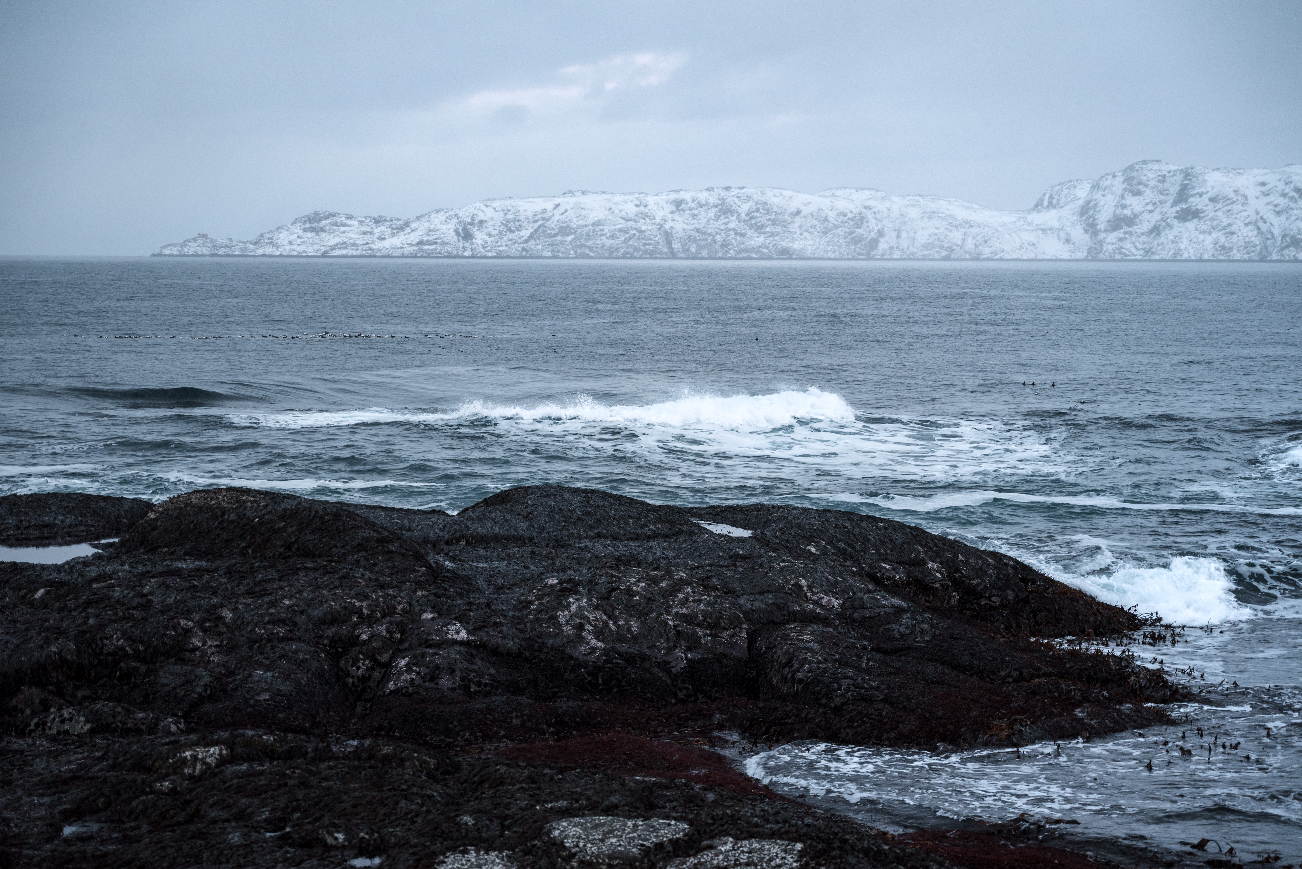 Кольский. Север, в который захочется вернуться (тур с фотографом) (41/67)