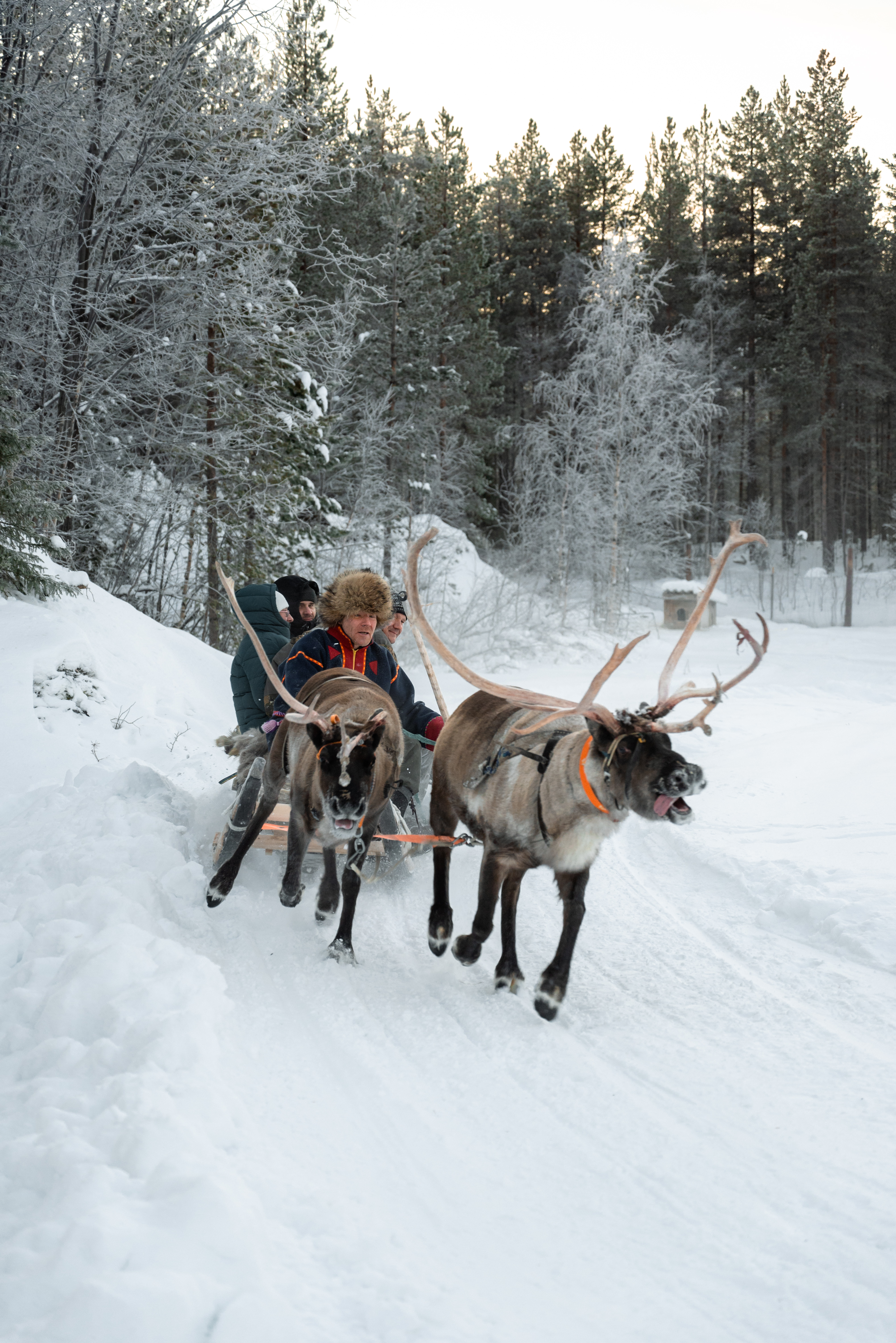 Кольский. Север, в который захочется вернуться (тур с фотографом) (5/67)