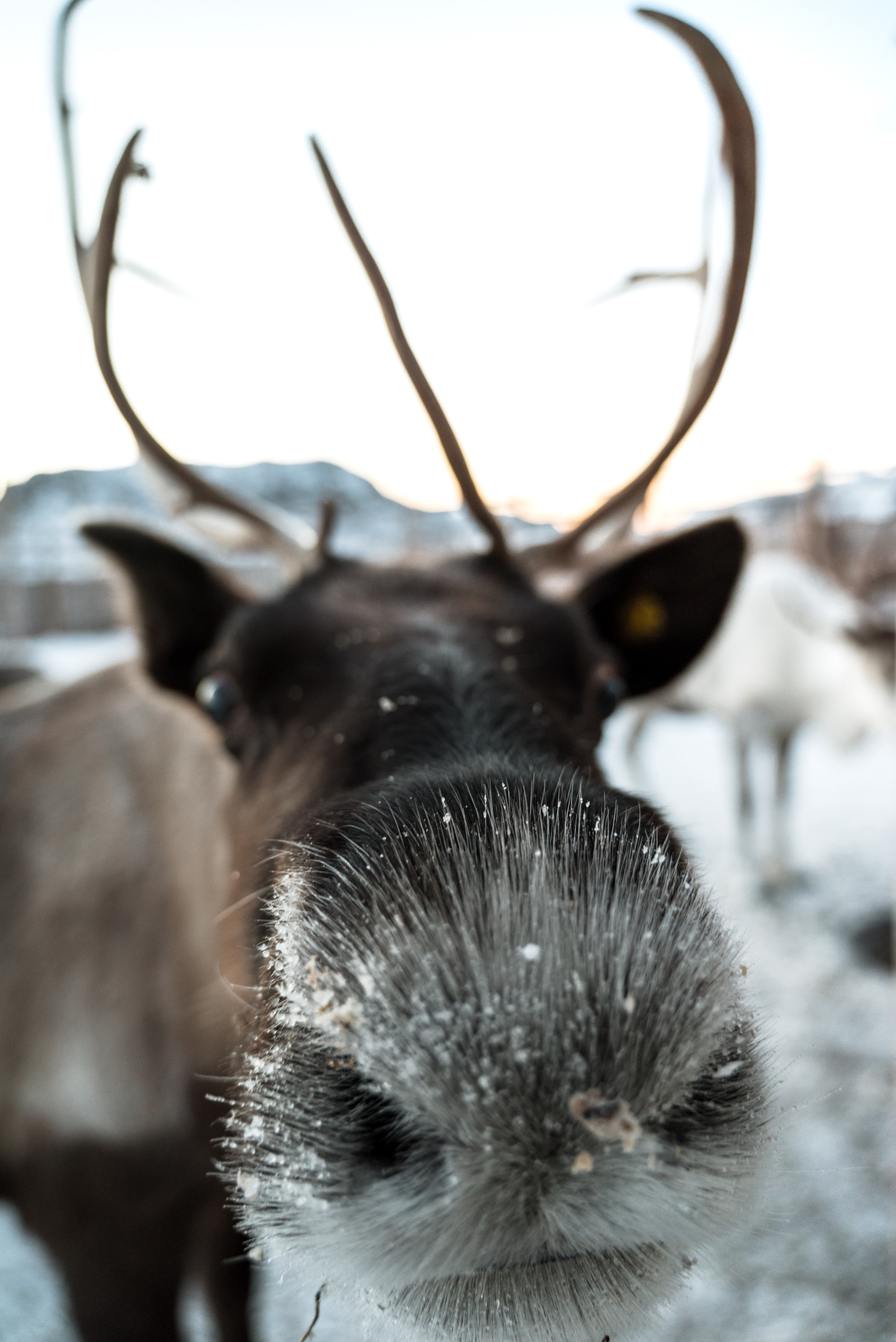 Кольский. Север, в который захочется вернуться (тур с фотографом) (47/67)