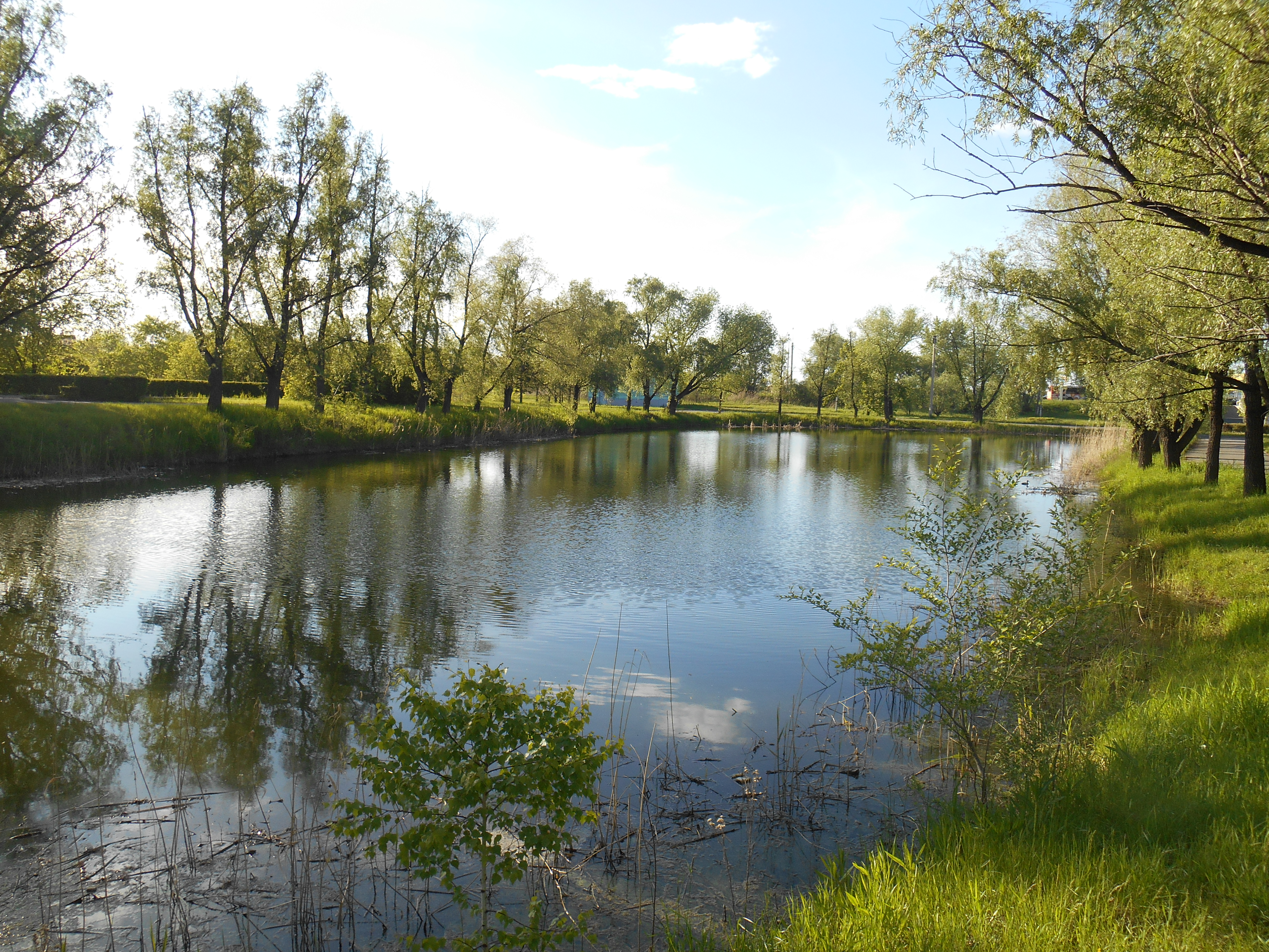 Сибирские сокровища: Загадка золота Колчака (7/24)