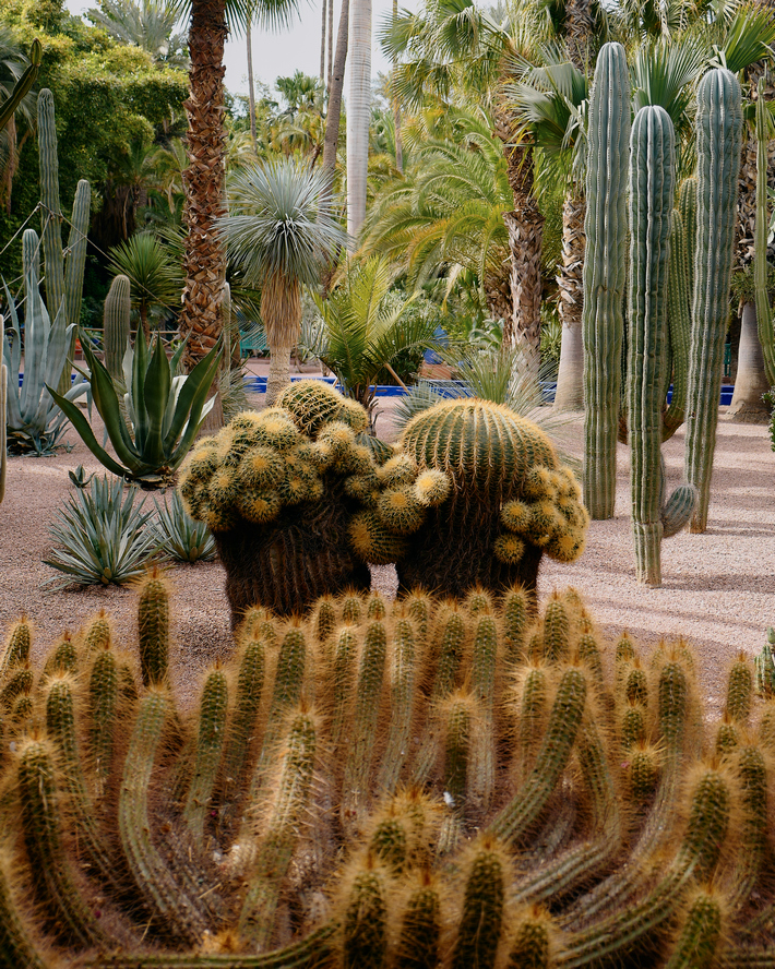 Крепость Айт-Бен Хадду И Марракеш